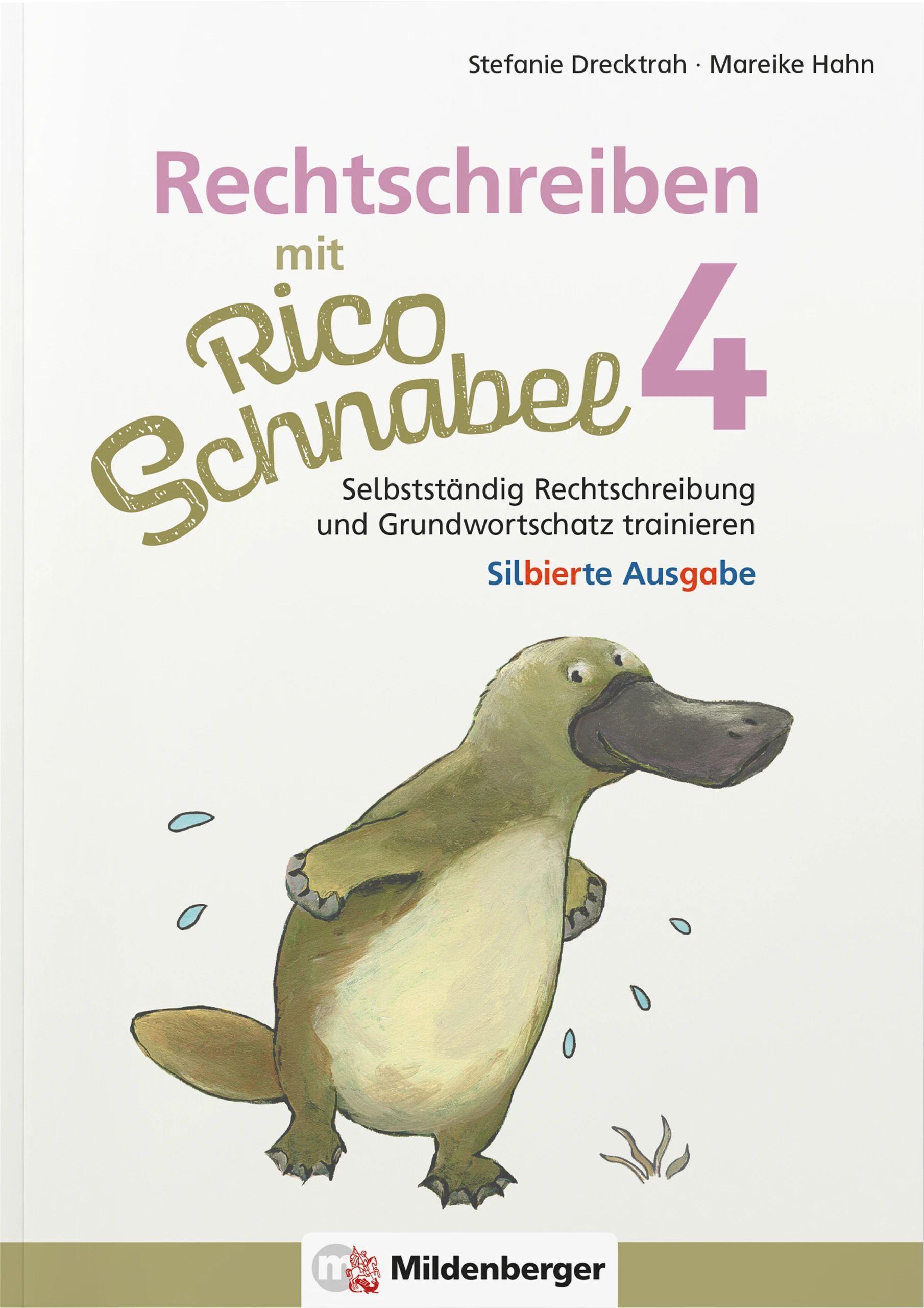 Vorderes Coverbild Rechtschreiben mit Rico Schnabel, Klasse 4 - silbierte Ausgabe