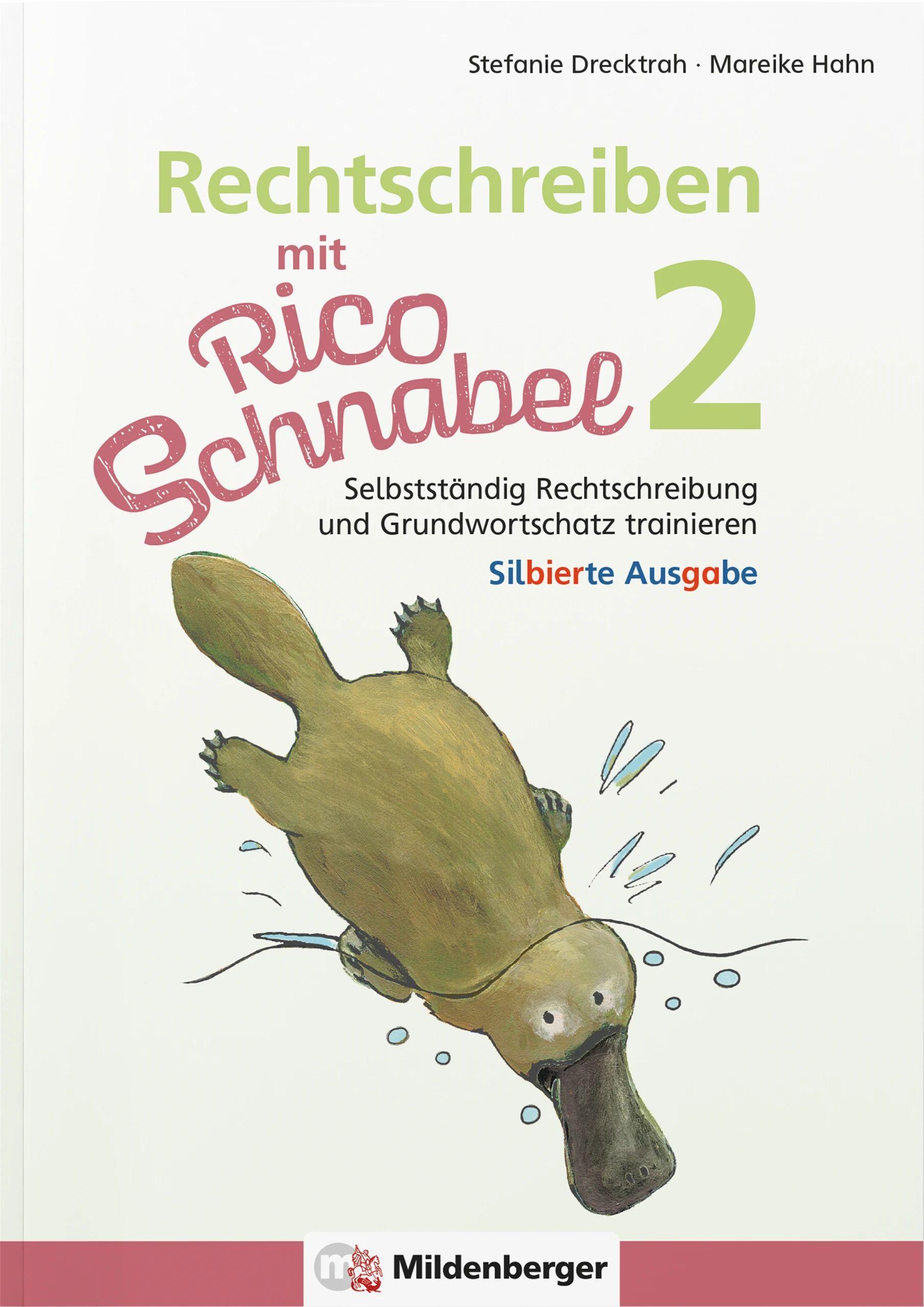 Vorderes Coverbild Rechtschreiben mit Rico Schnabel, Klasse 2 - silbierte Ausgabe
