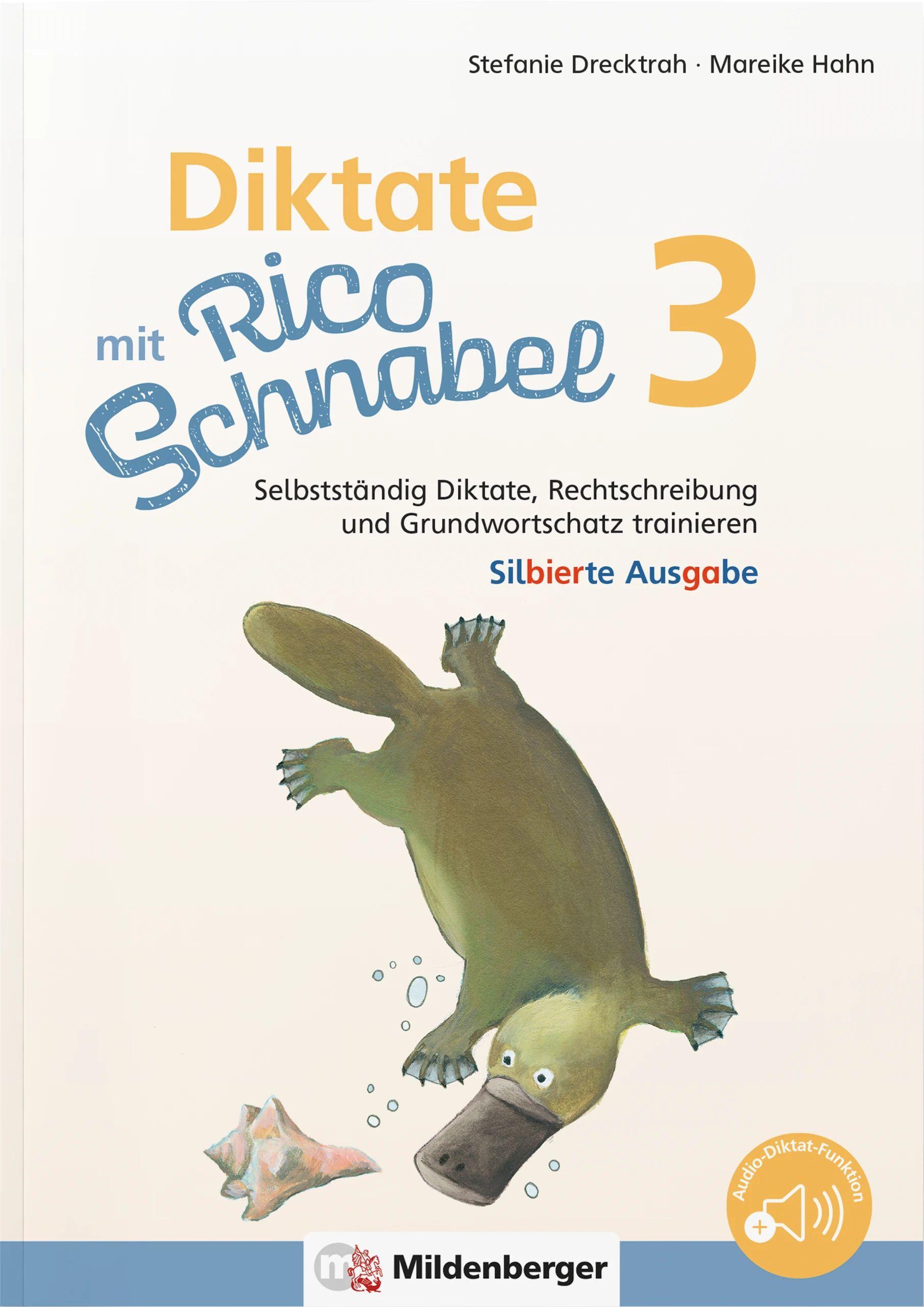 Vorderes Coverbild Diktate mit Rico Schnabel, Klasse 3 - silbierte Ausgabe