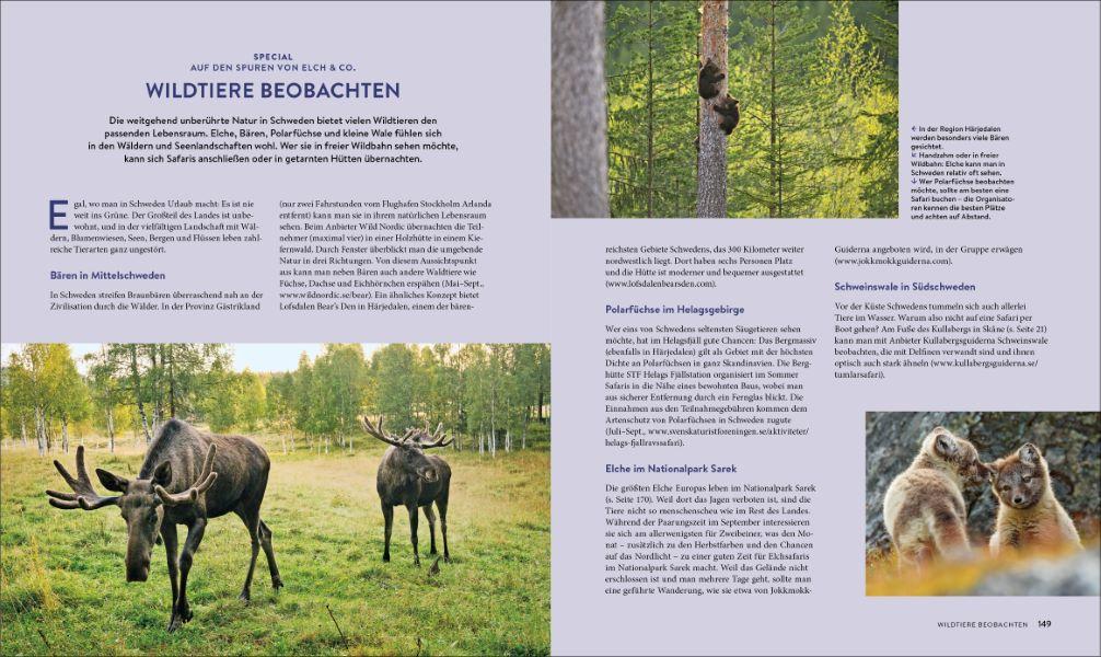 Beispielinhalt (Bild) Wild Places Schweden