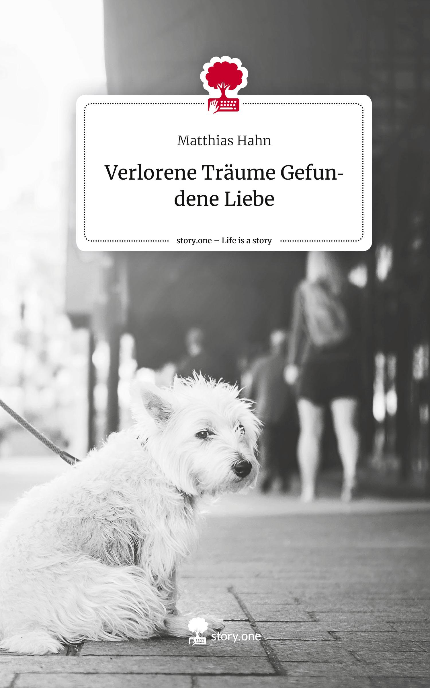 Vorderes Coverbild Verlorene Träume  Gefundene Liebe. Life is a Story - story.one