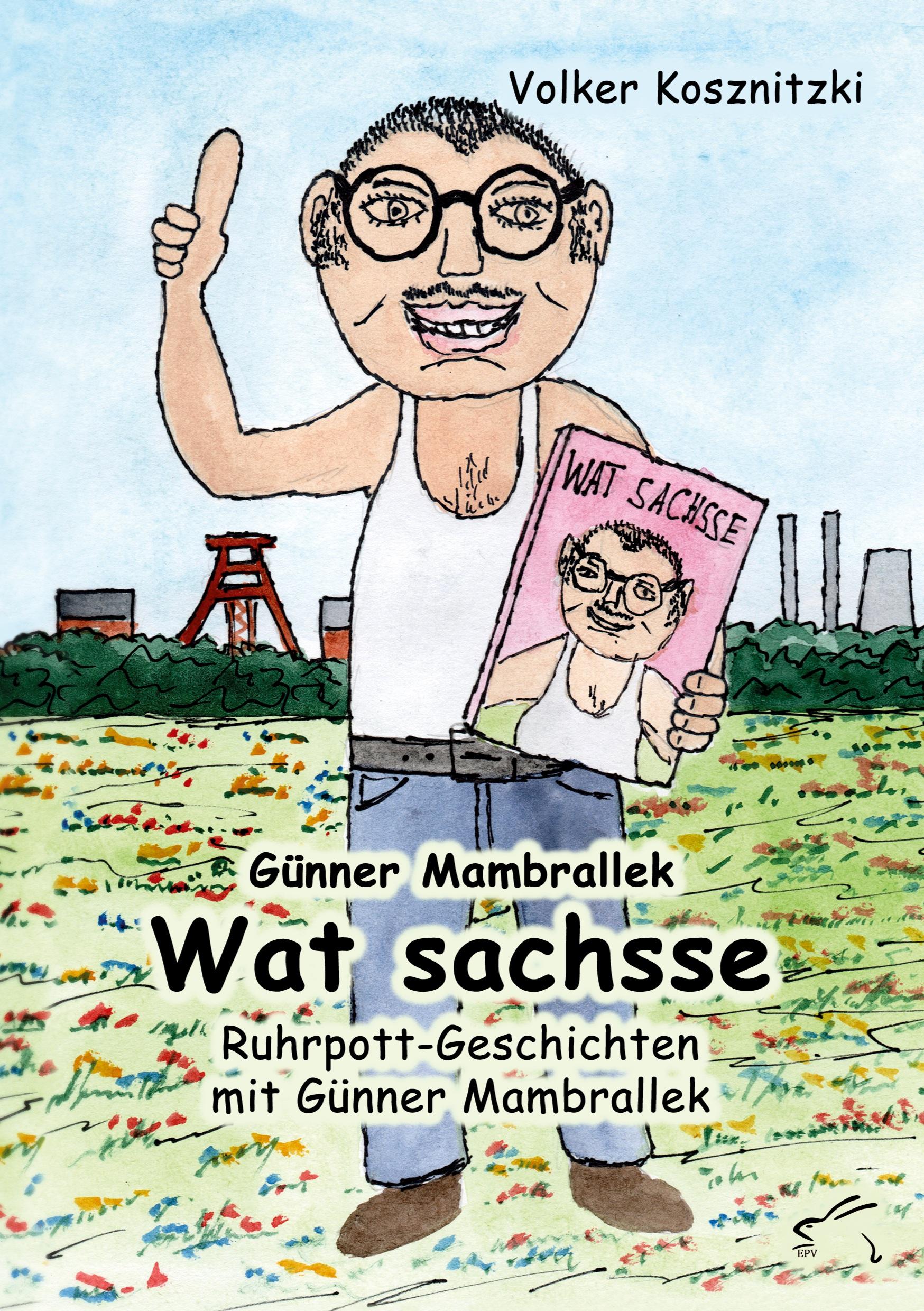 Vorderes Coverbild Wat sachsse