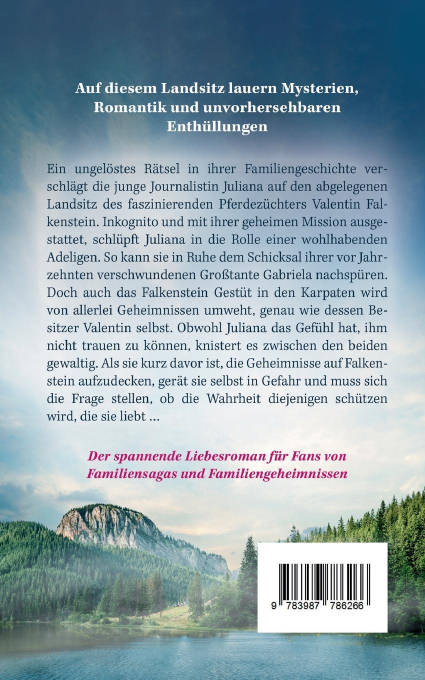 Rückseitencover Das Geheimnis von Falkenstein