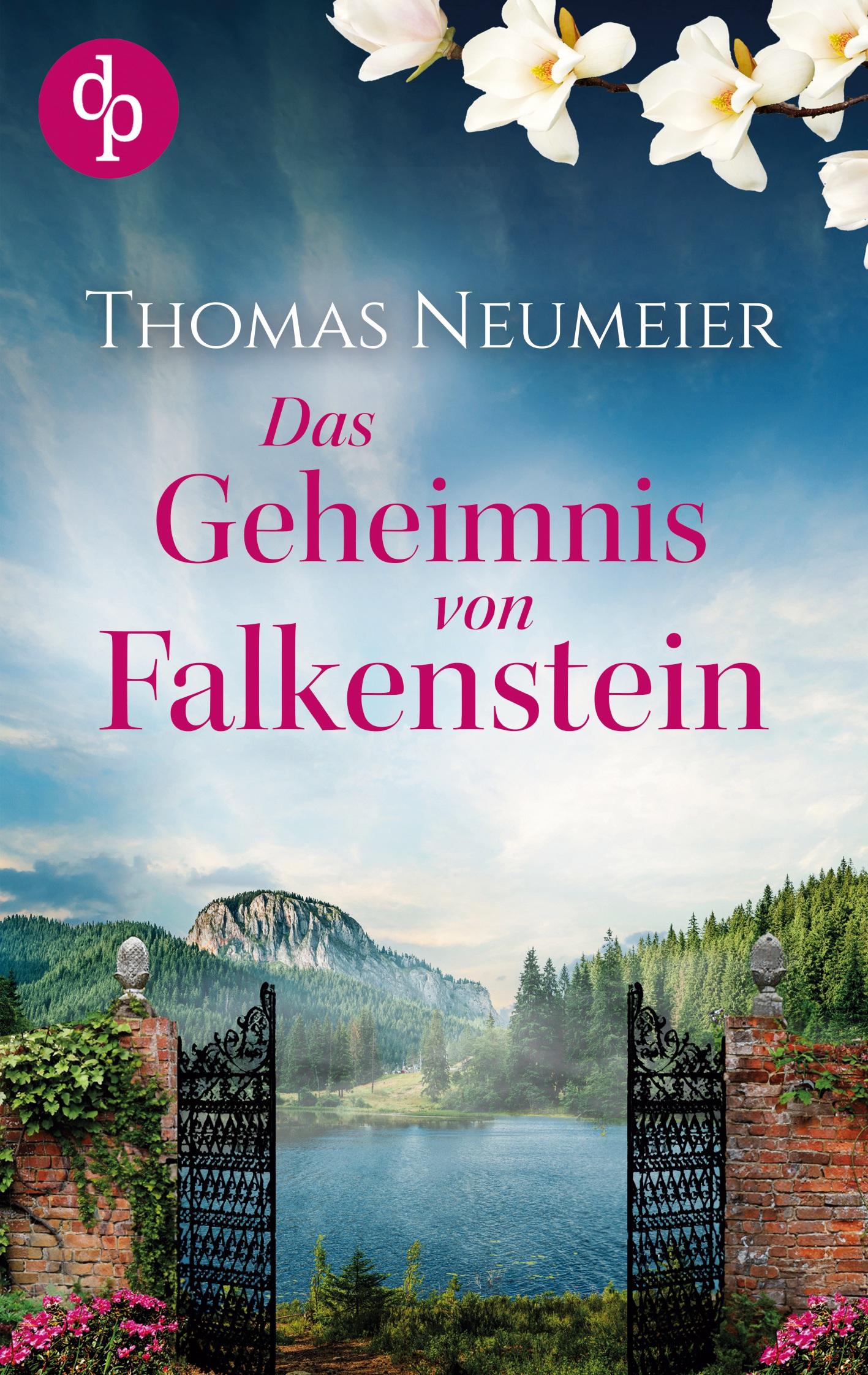 Vorderes Coverbild Das Geheimnis von Falkenstein