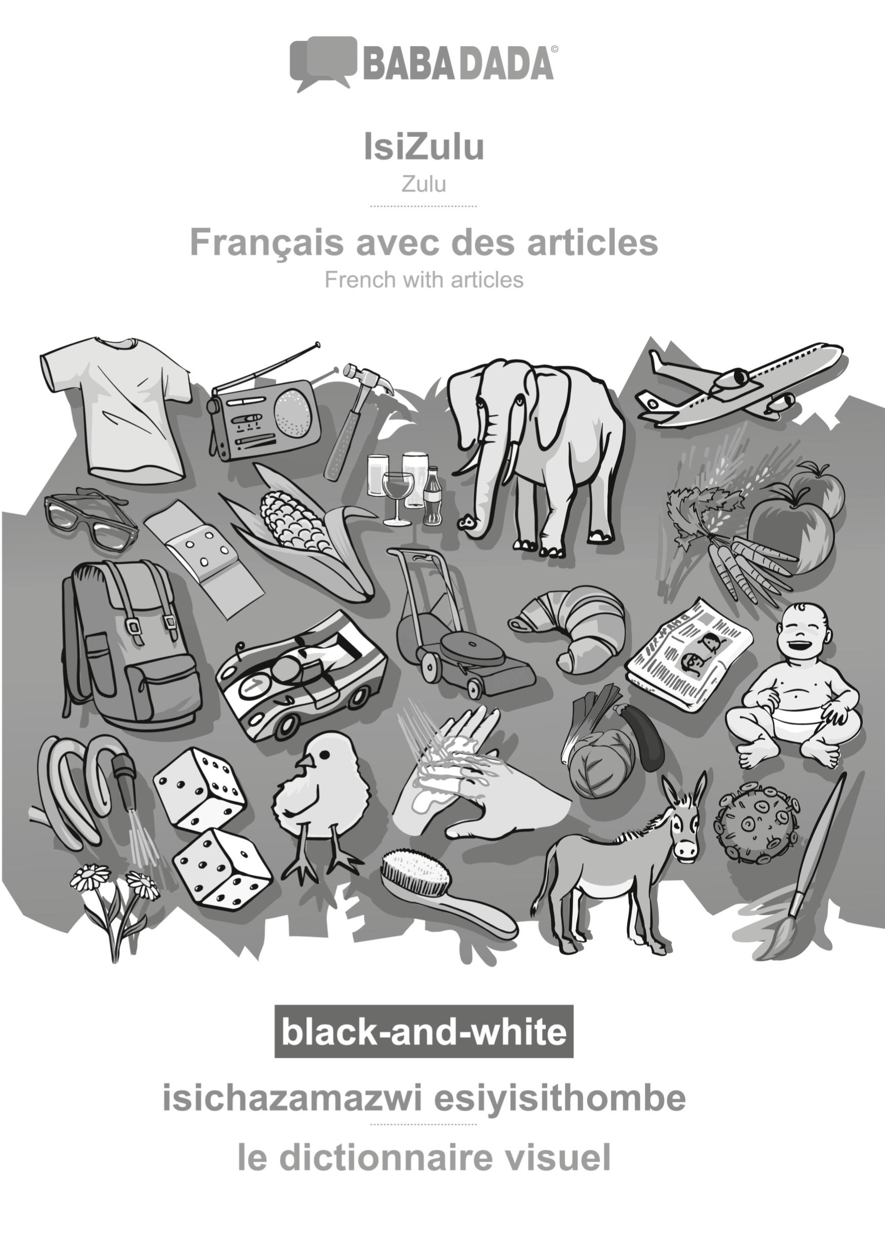 Vorderes Coverbild IsiZulu - Français avec des articles, isichazamazwi esiyisithombe, BW