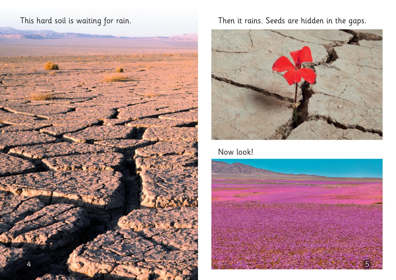 Beispielinhalt (Bild) The Power of Rain