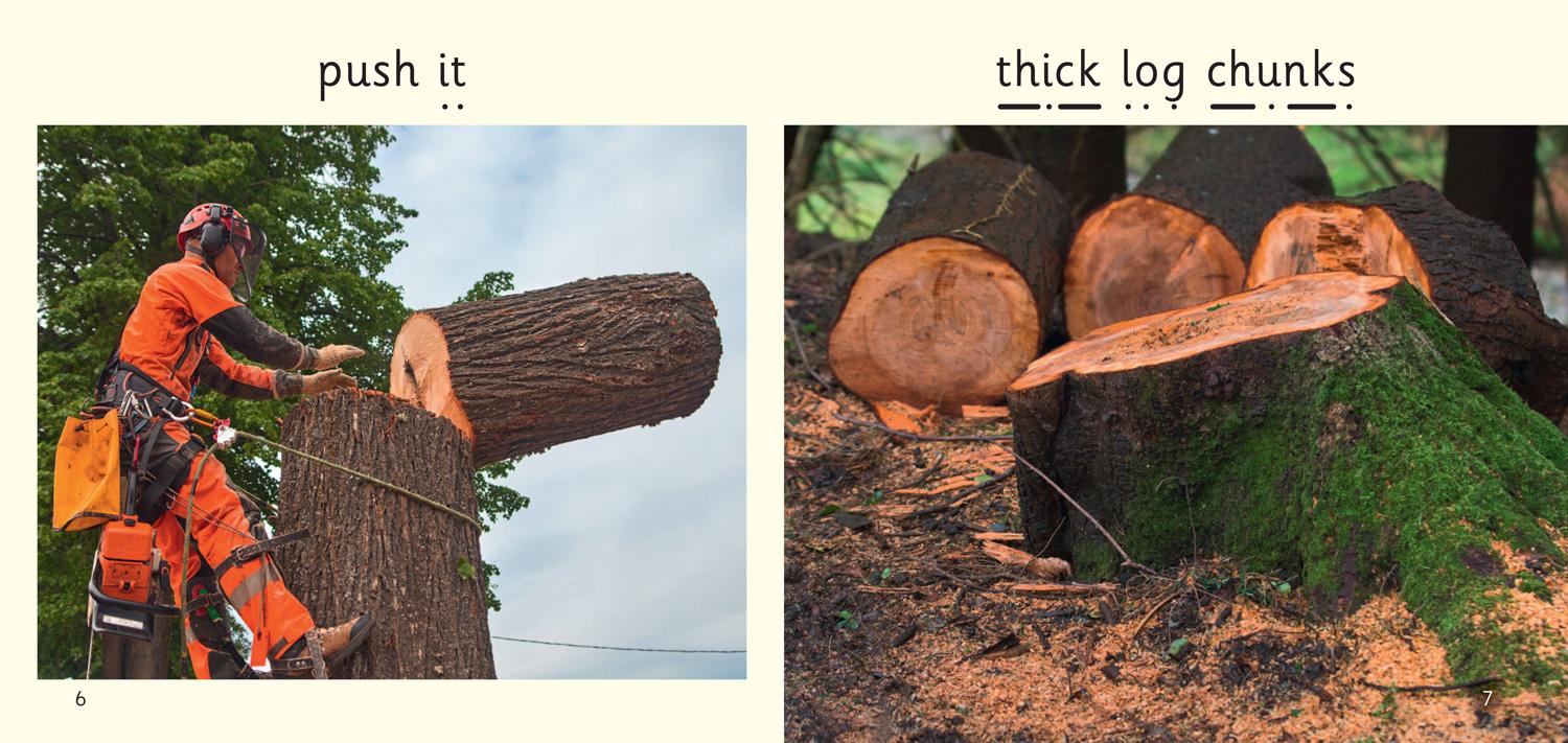 Beispielinhalt (Bild) Chop and Chip