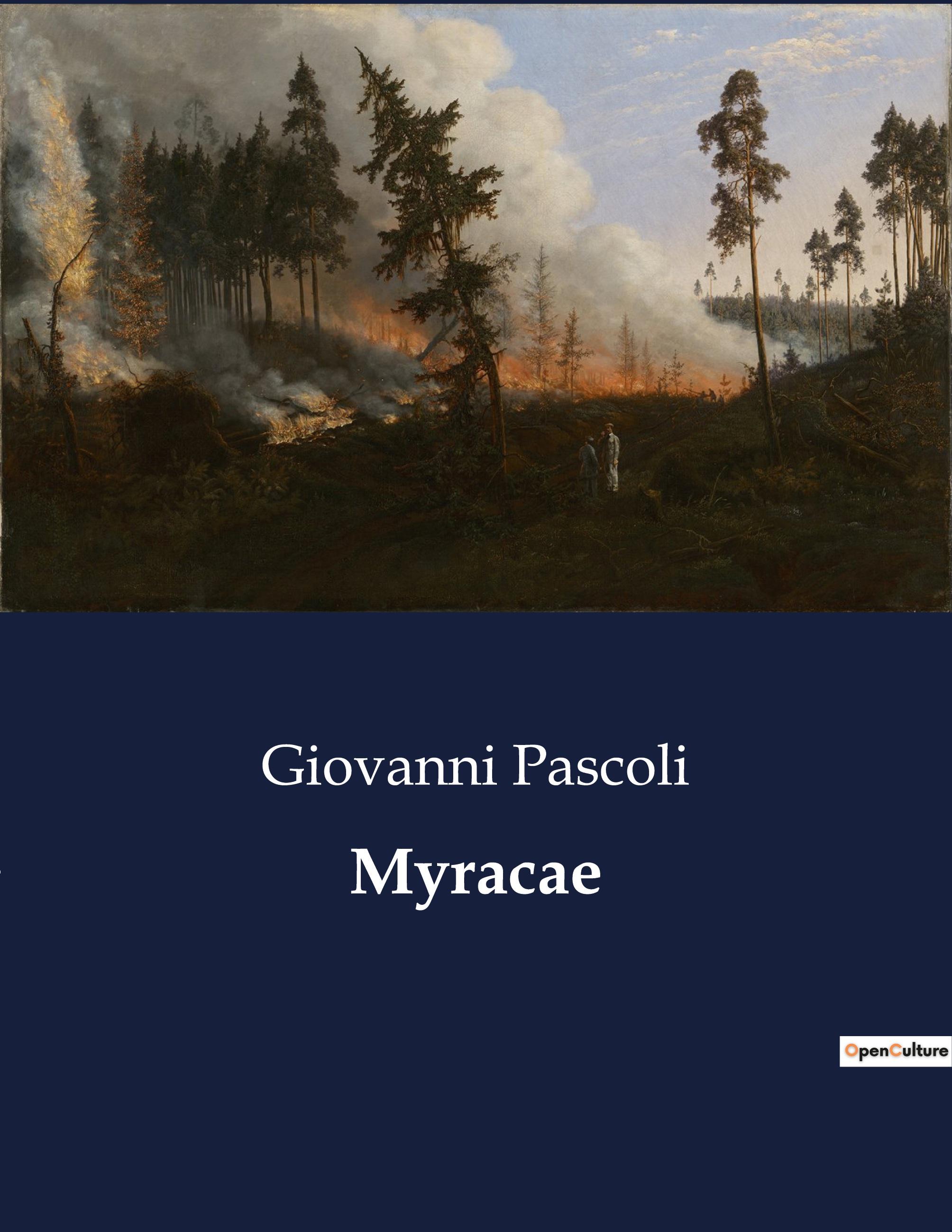 Vorderes Coverbild Myracae