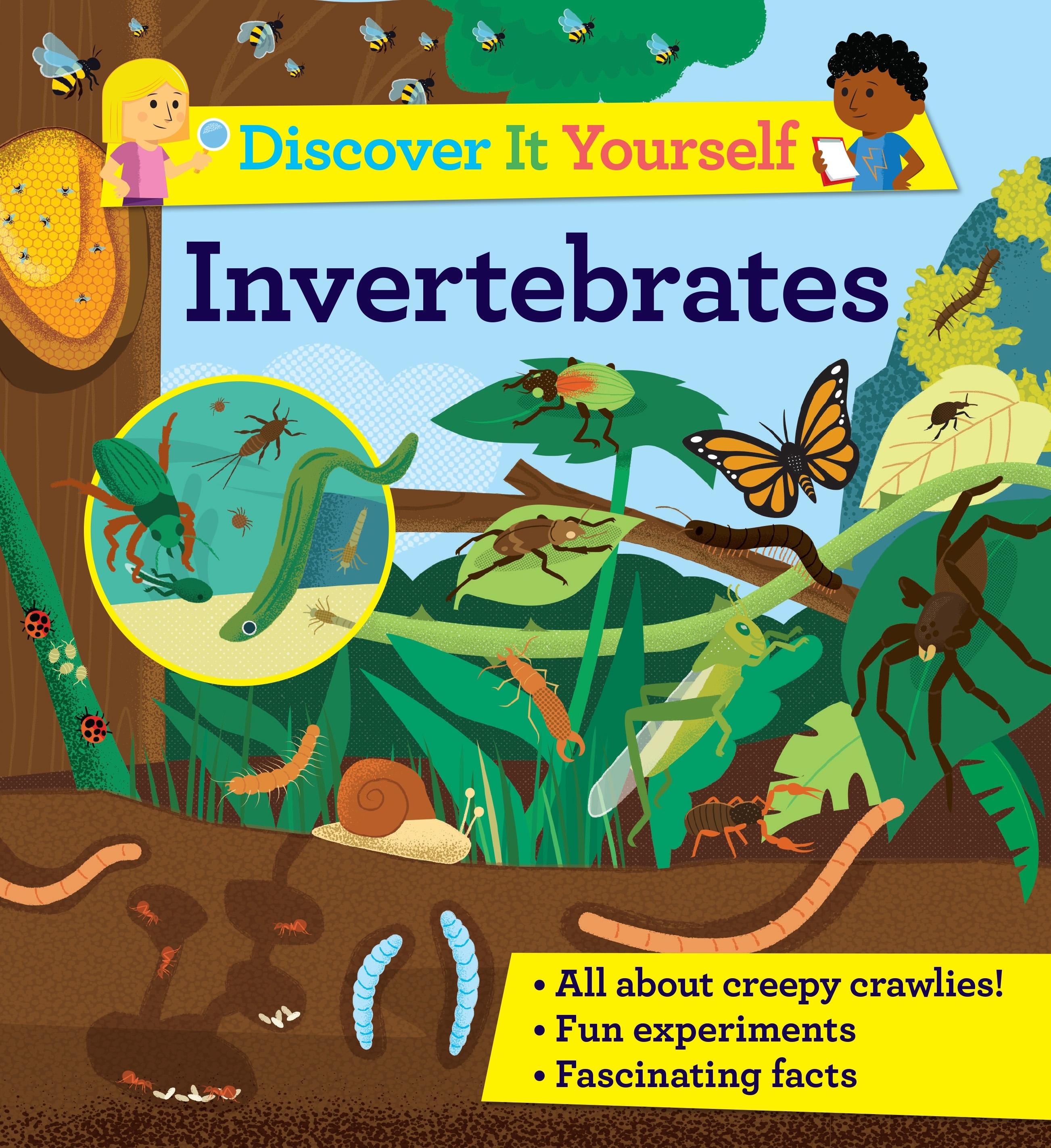 Vorderes Coverbild Discover It Yourself: Invertebrates