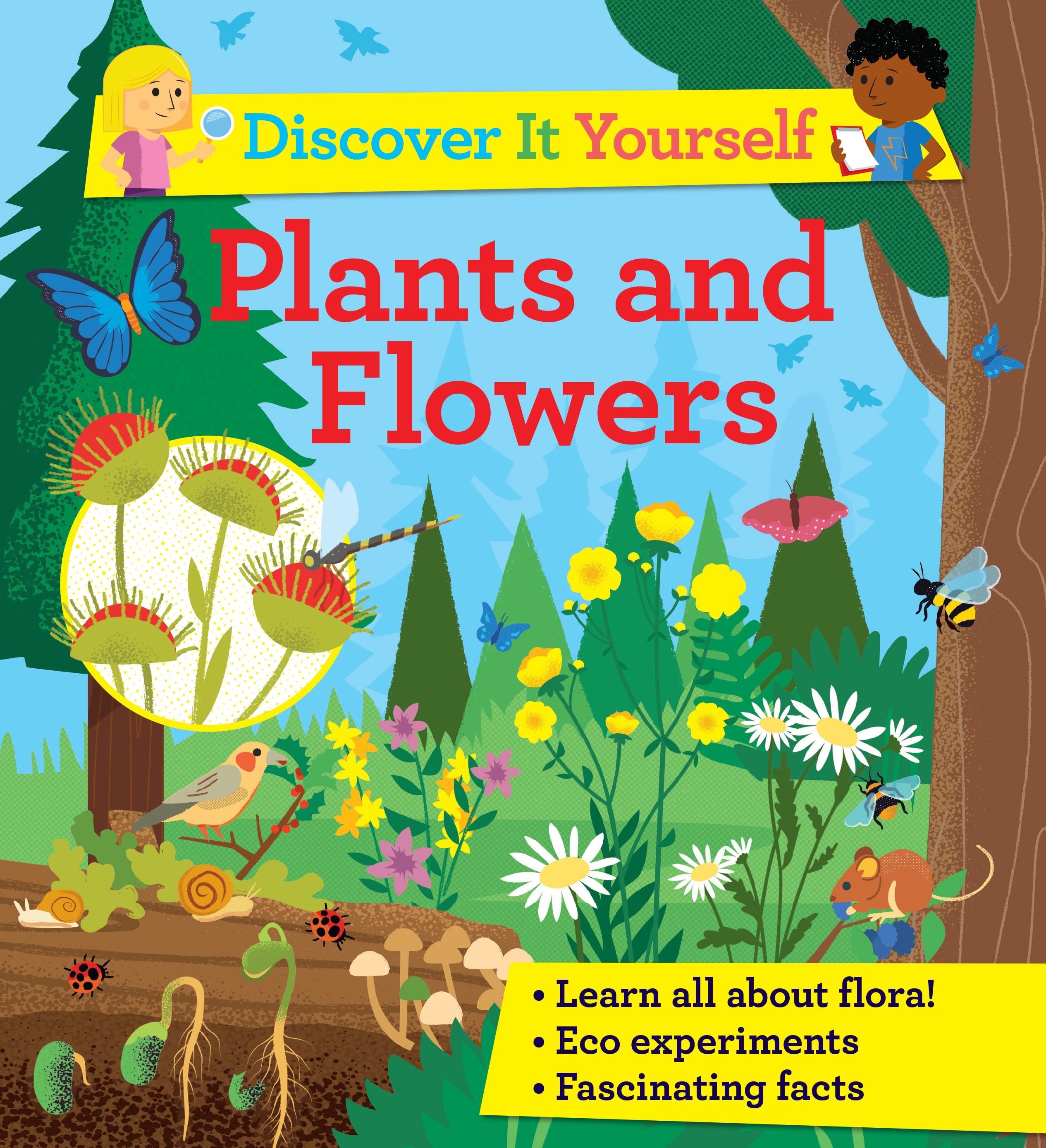 Vorderes Coverbild Discover It Yourself: Plants and Flowers