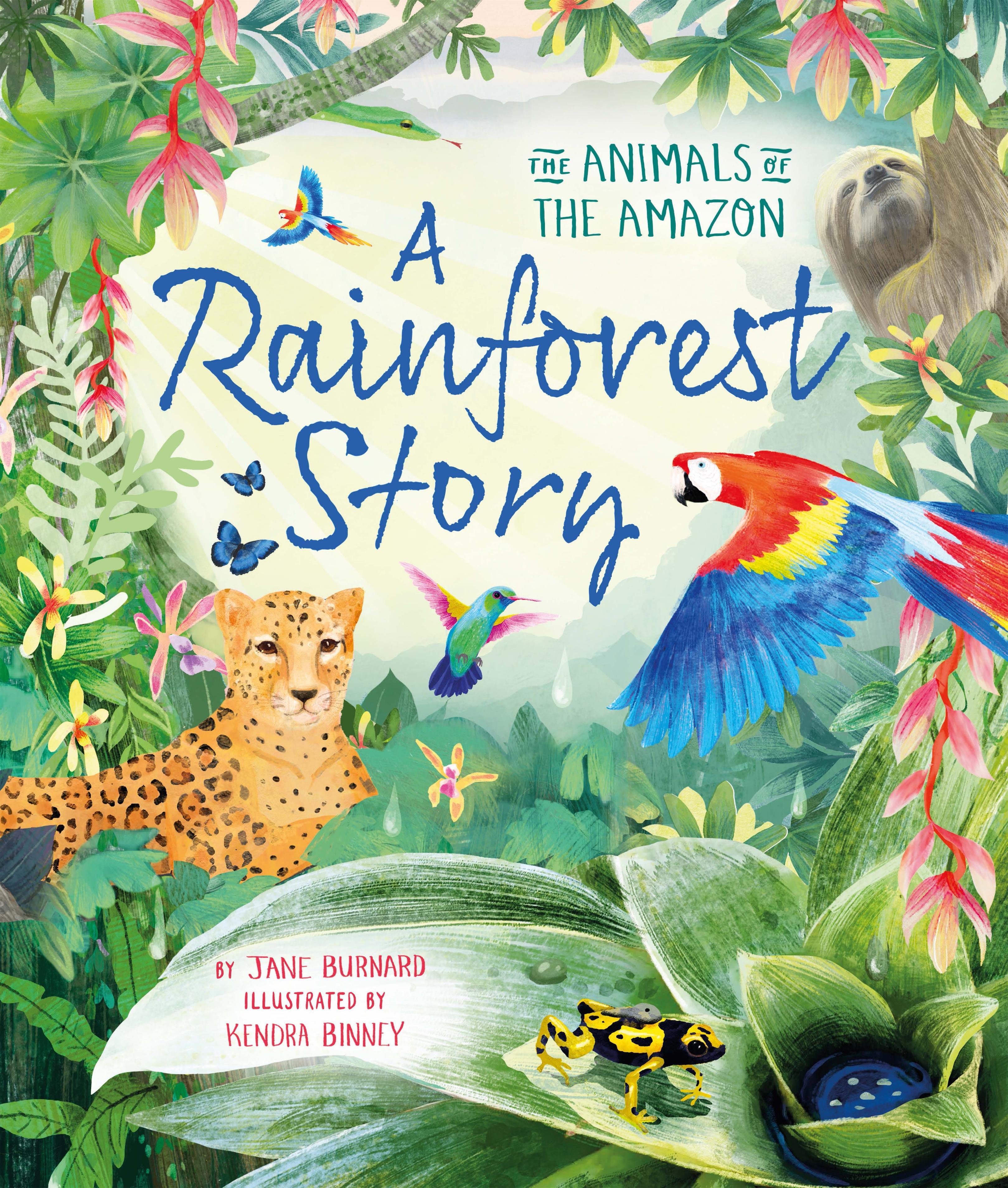 Vorderes Coverbild A Rainforest Story