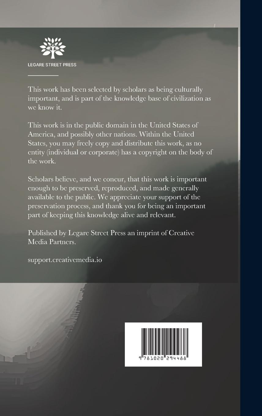 Rückseitencover The Labyrinth