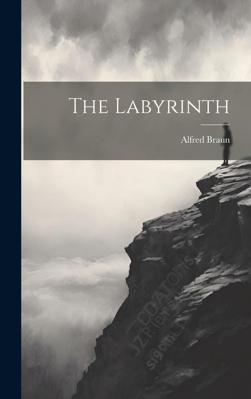 Vorderes Coverbild The Labyrinth