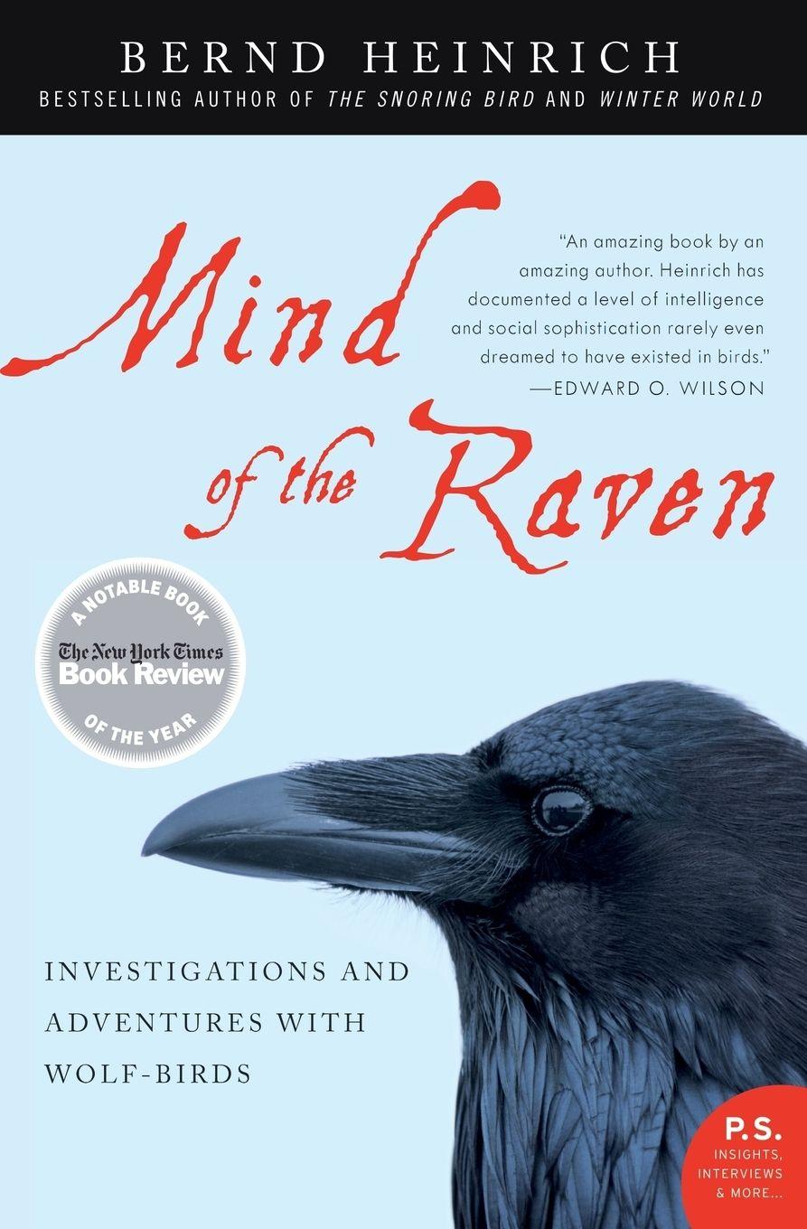 Vorderes Coverbild Mind of the Raven