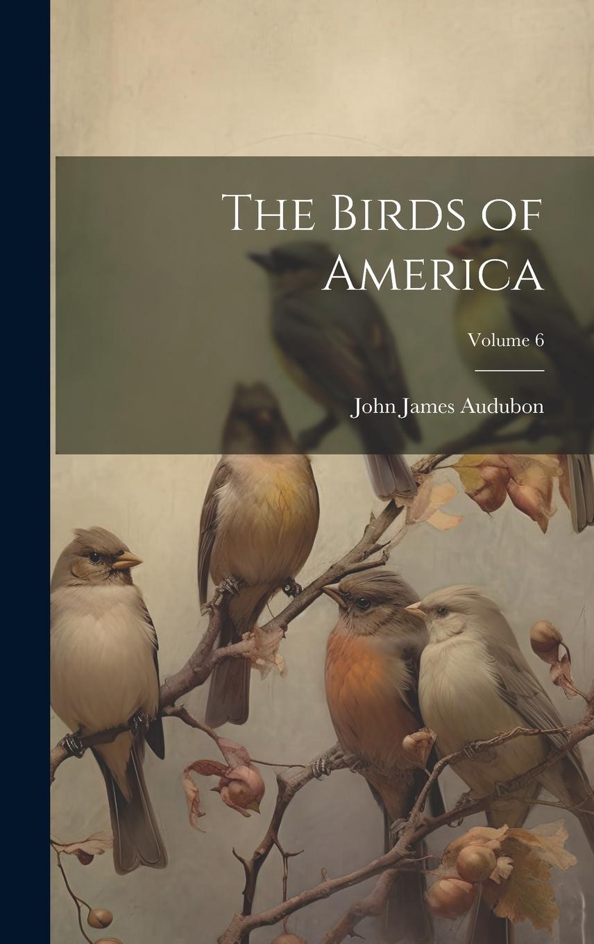 Vorderes Coverbild The Birds of America; Volume 6