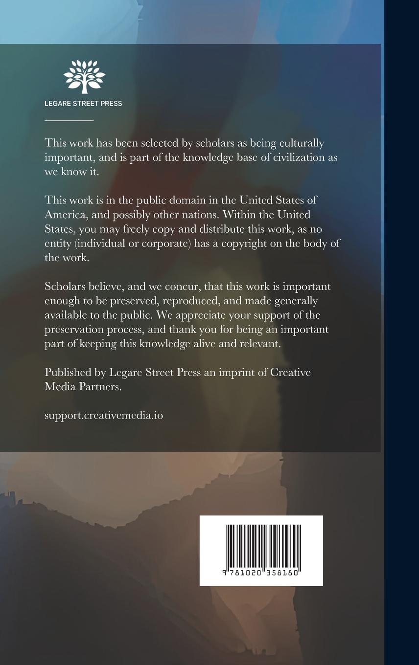 Rückseitencover An American Politician: A Novel; Volume 2