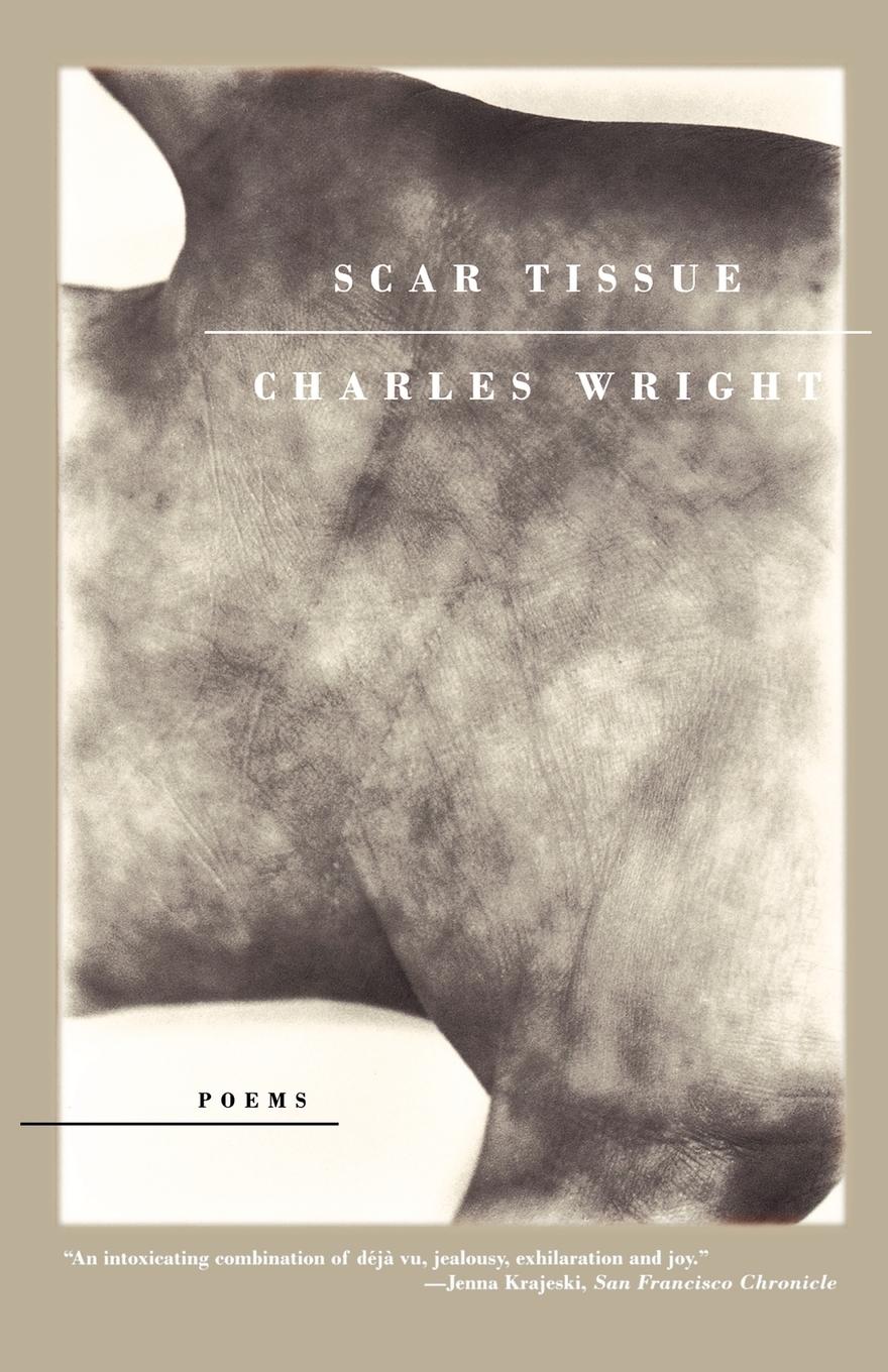 Vorderes Coverbild Scar Tissue