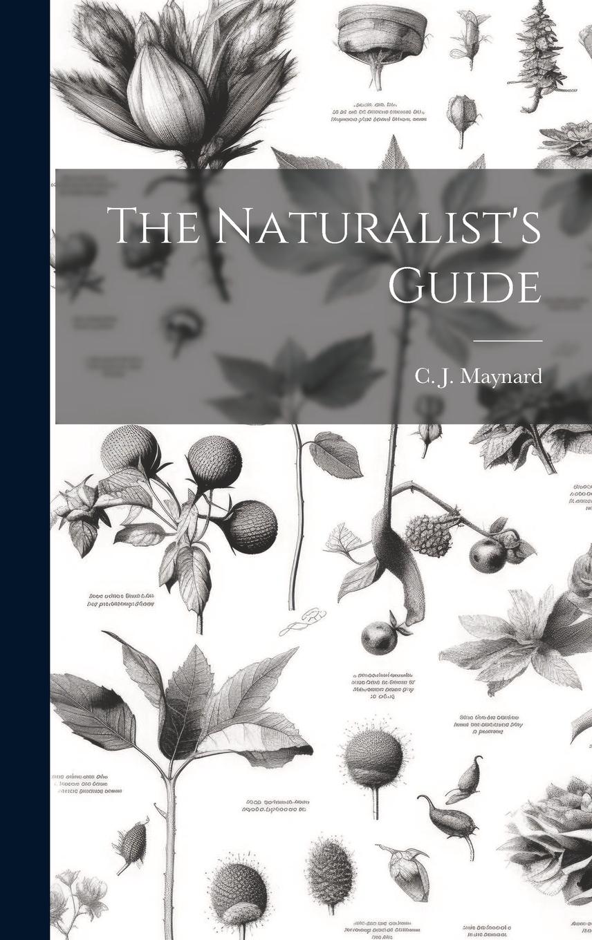 Vorderes Coverbild The Naturalist's Guide