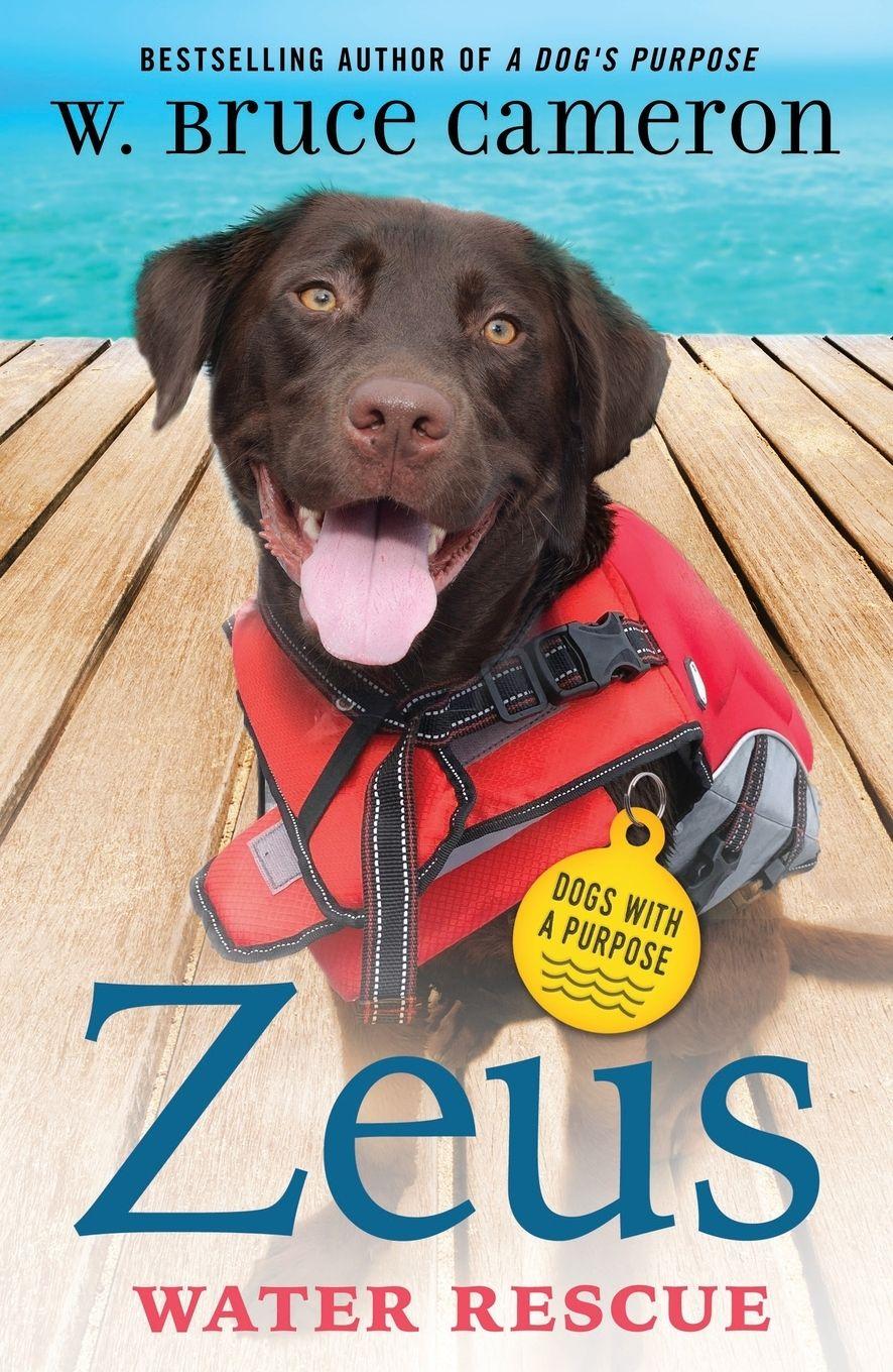 Vorderes Coverbild Zeus