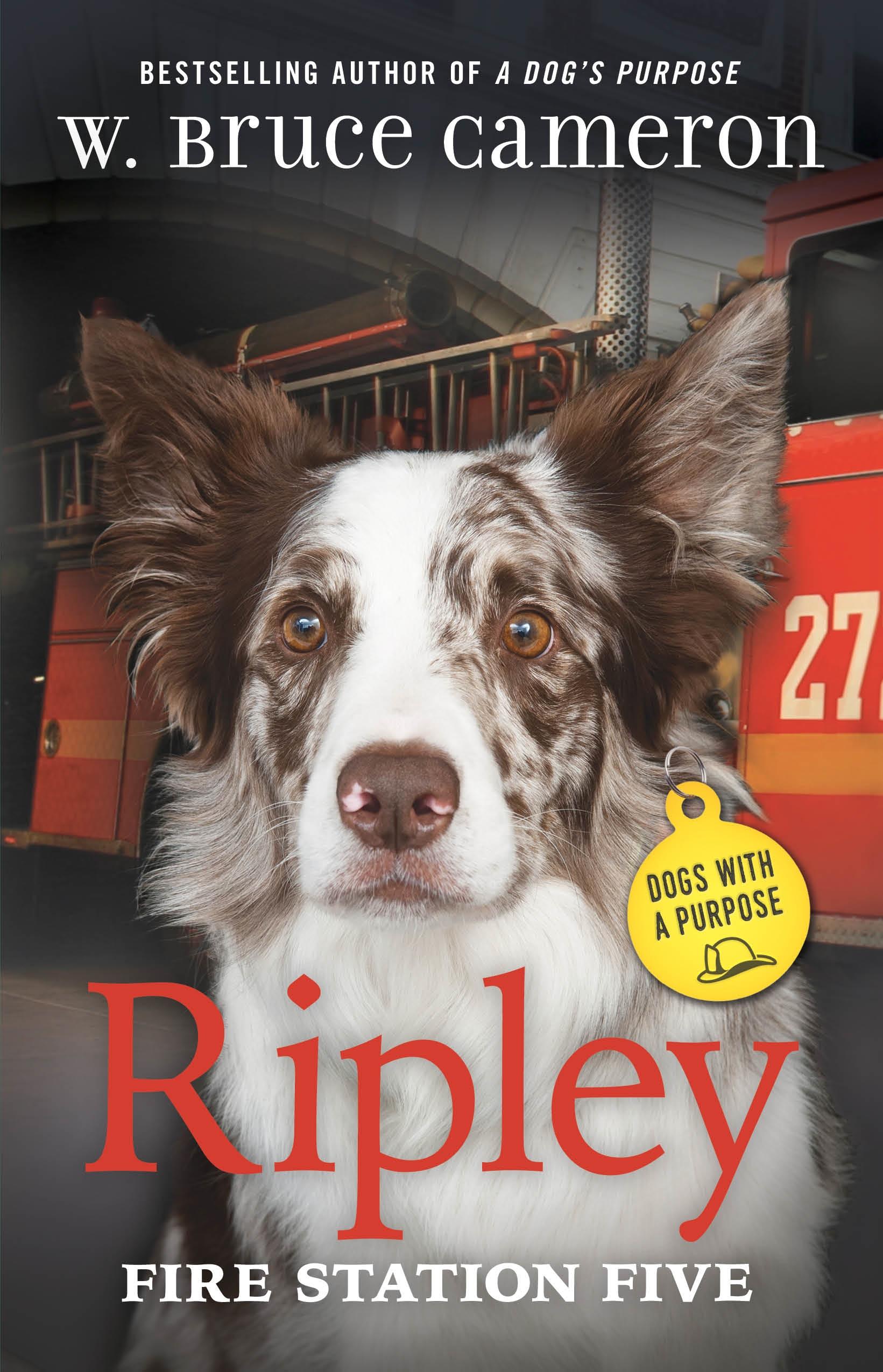 Vorderes Coverbild Ripley: Fire Station Five