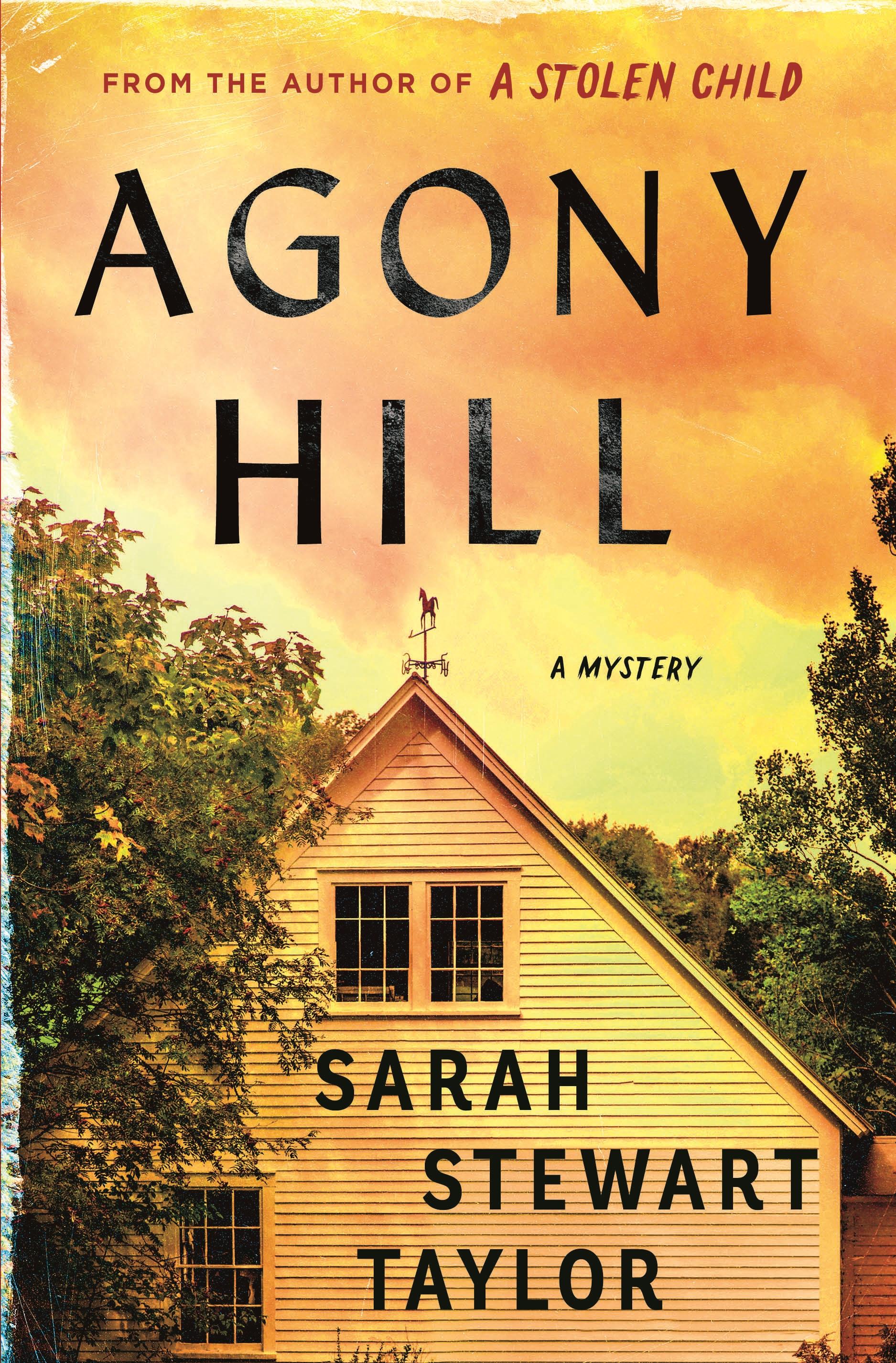 Vorderes Coverbild Agony Hill