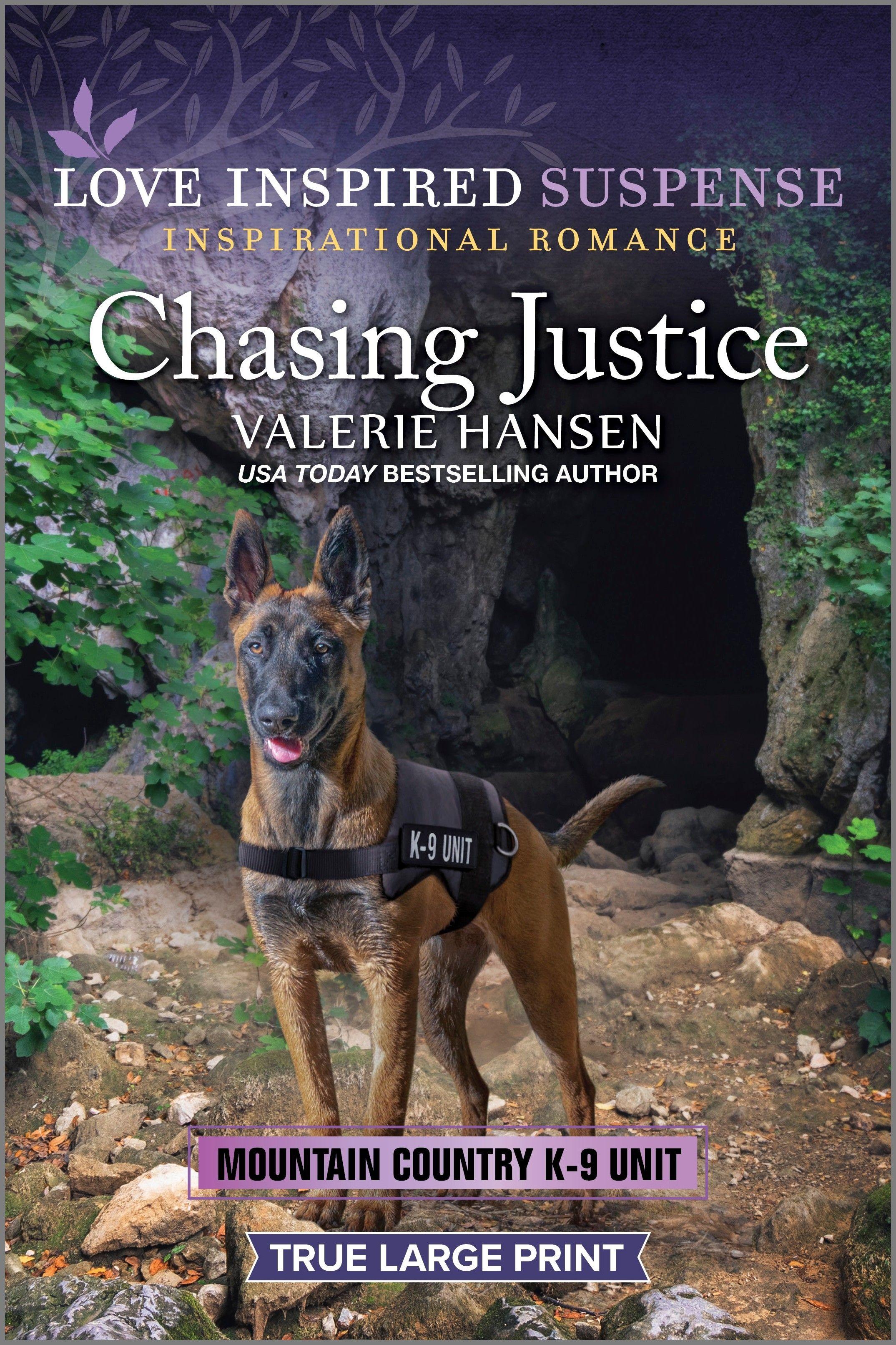 Vorderes Coverbild Chasing Justice
