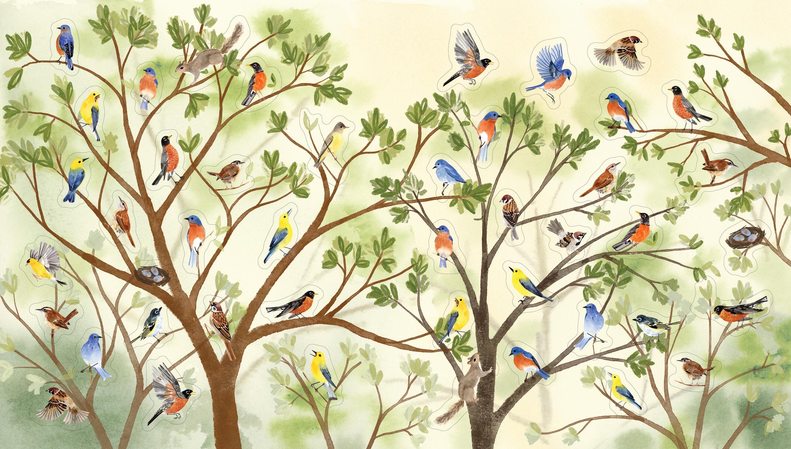 Beispielinhalt (Bild) A Bird Lover's Sticker Book