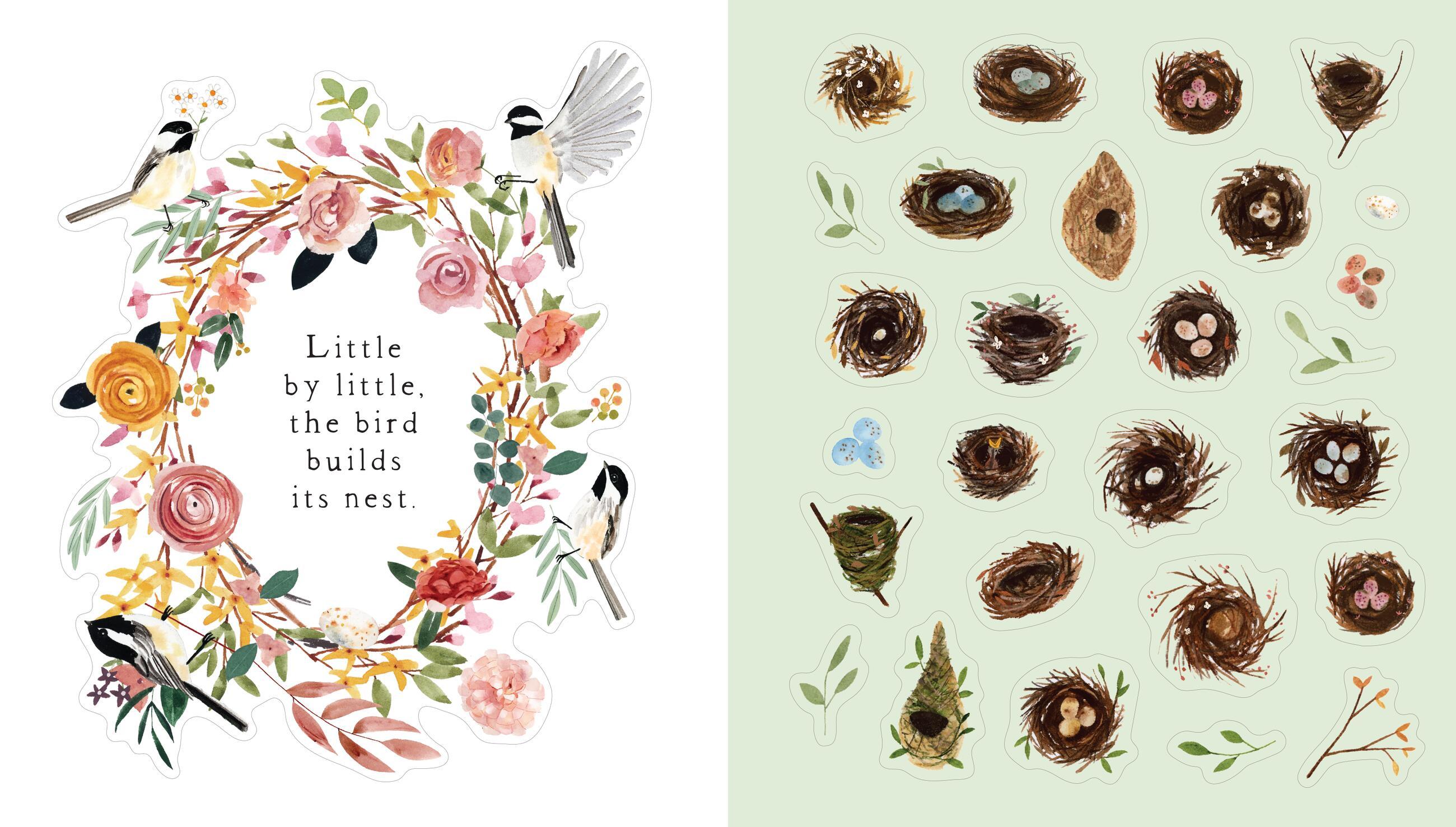 Beispielinhalt (Bild) A Bird Lover's Sticker Book