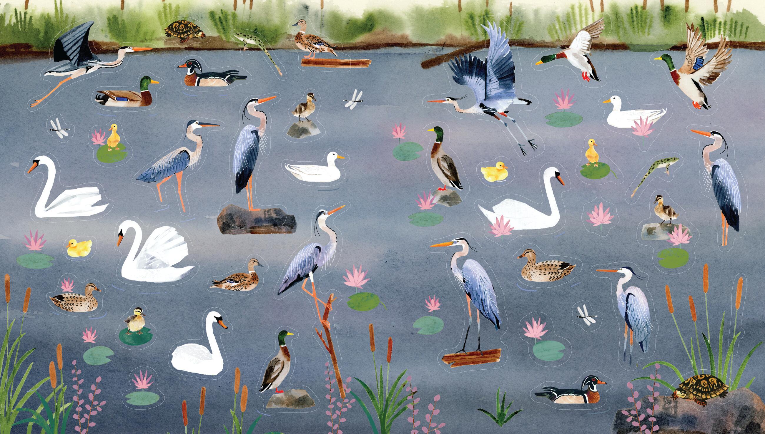 Beispielinhalt (Bild) A Bird Lover's Sticker Book