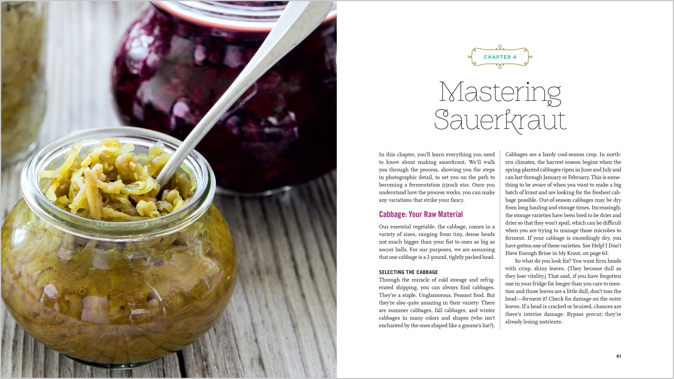 Beispielinhalt (Bild) Fermented Vegetables, 10th Anniversary Edition