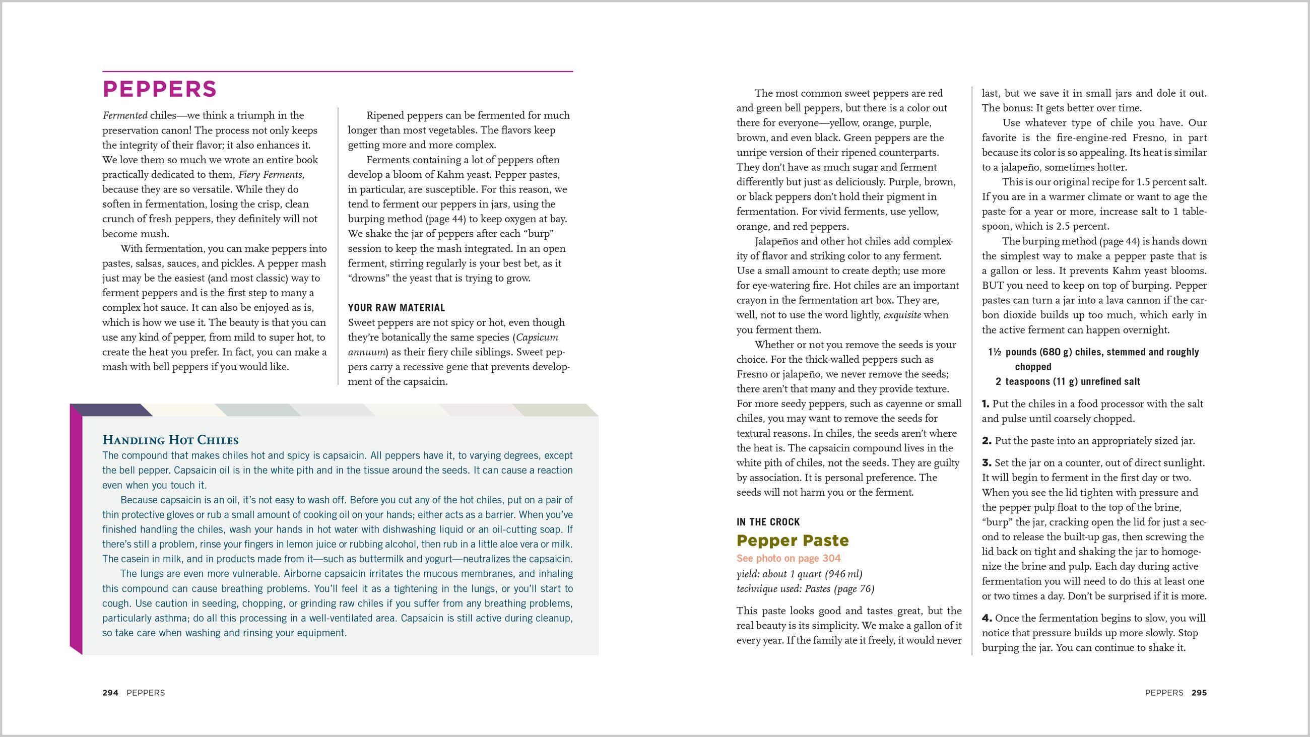 Beispielinhalt (Bild) Fermented Vegetables, 10th Anniversary Edition