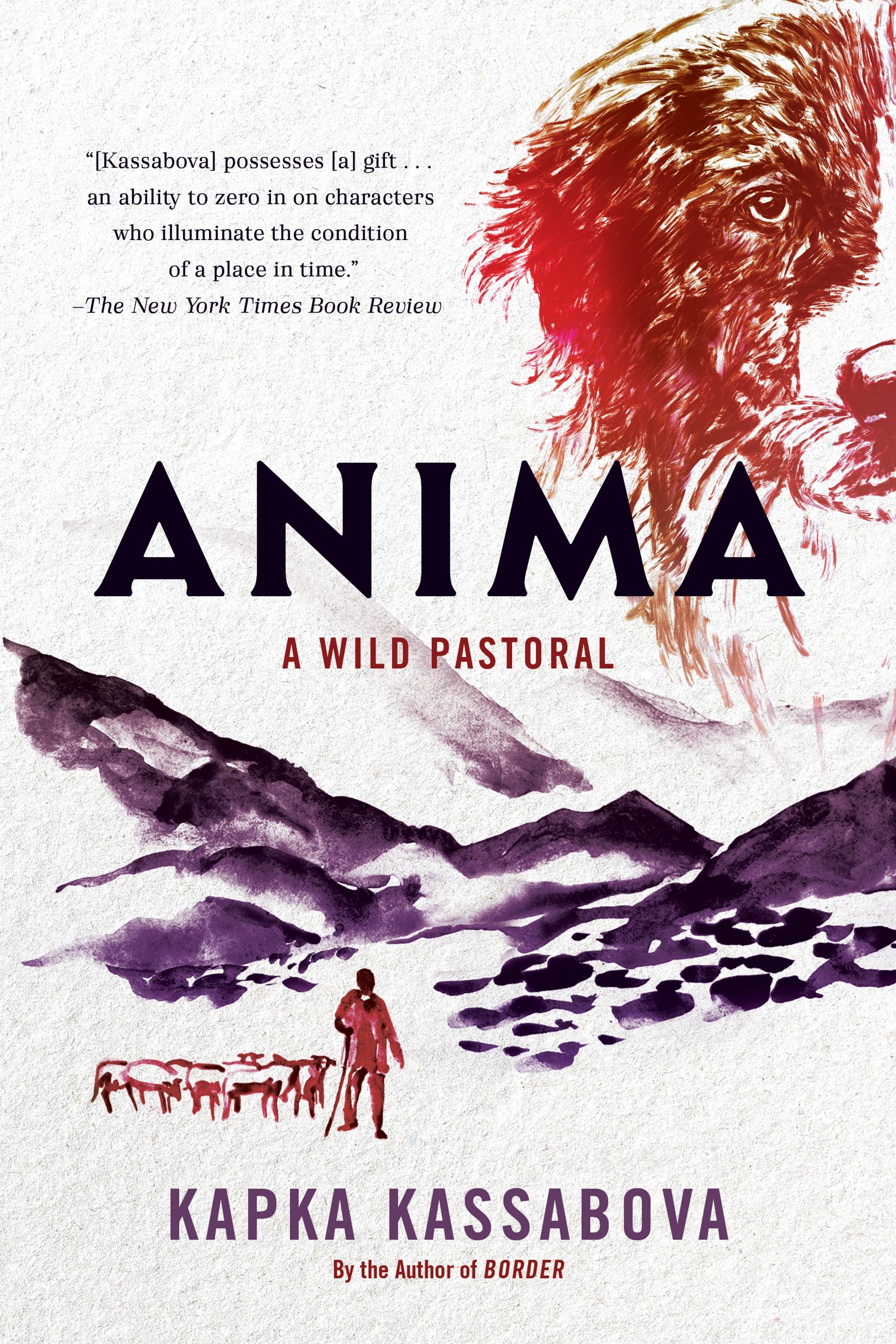 Vorderes Coverbild Anima