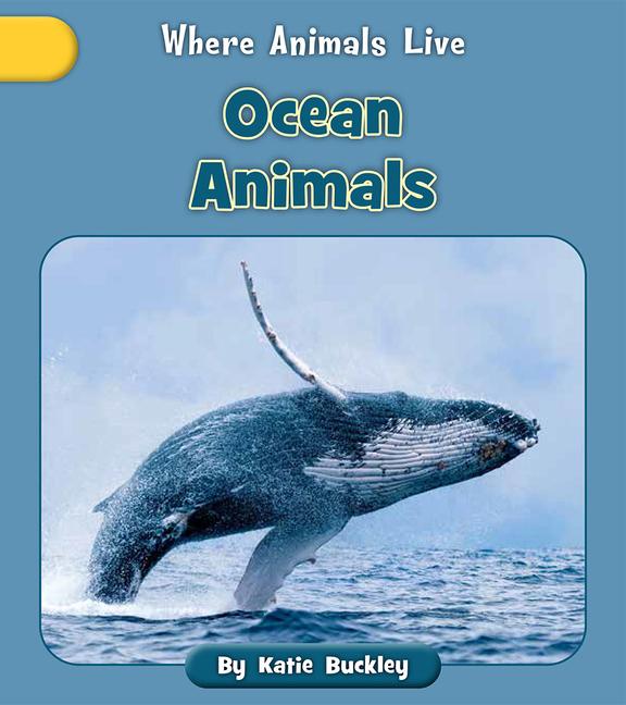 Vorderes Coverbild Ocean Animals