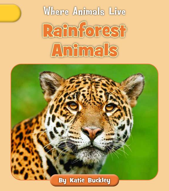 Vorderes Coverbild Rainforest Animals