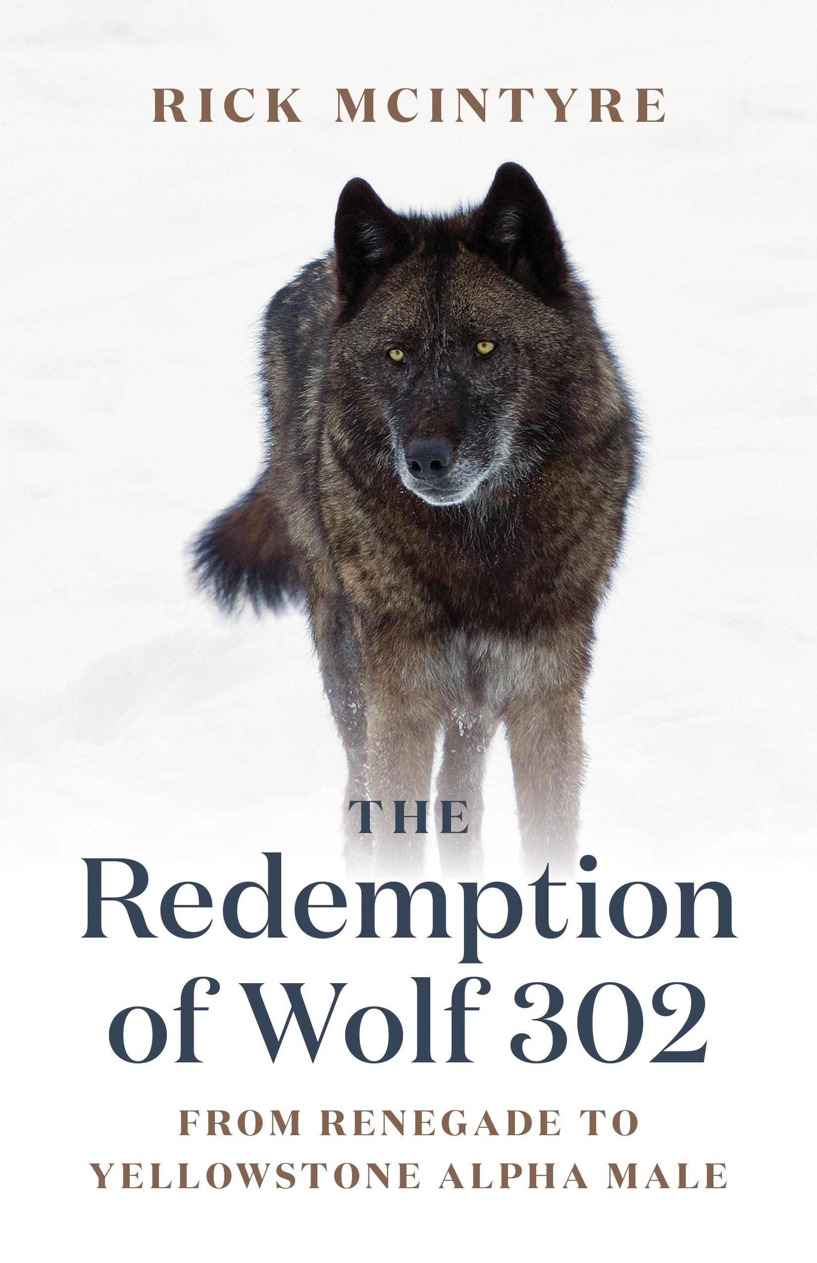 Vorderes Coverbild The Redemption of Wolf 302