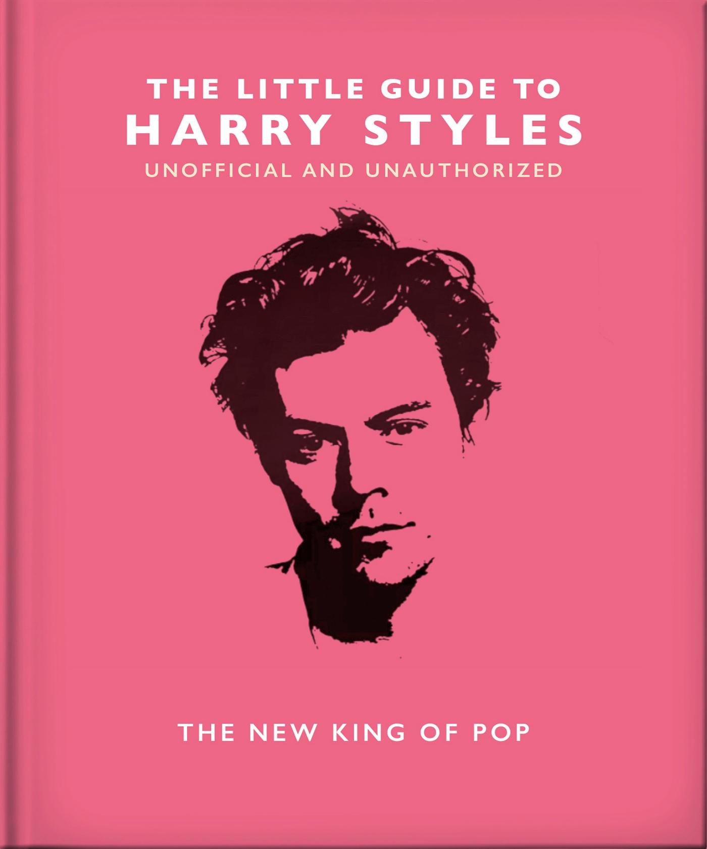 Vorderes Coverbild The Little Guide to Harry Styles