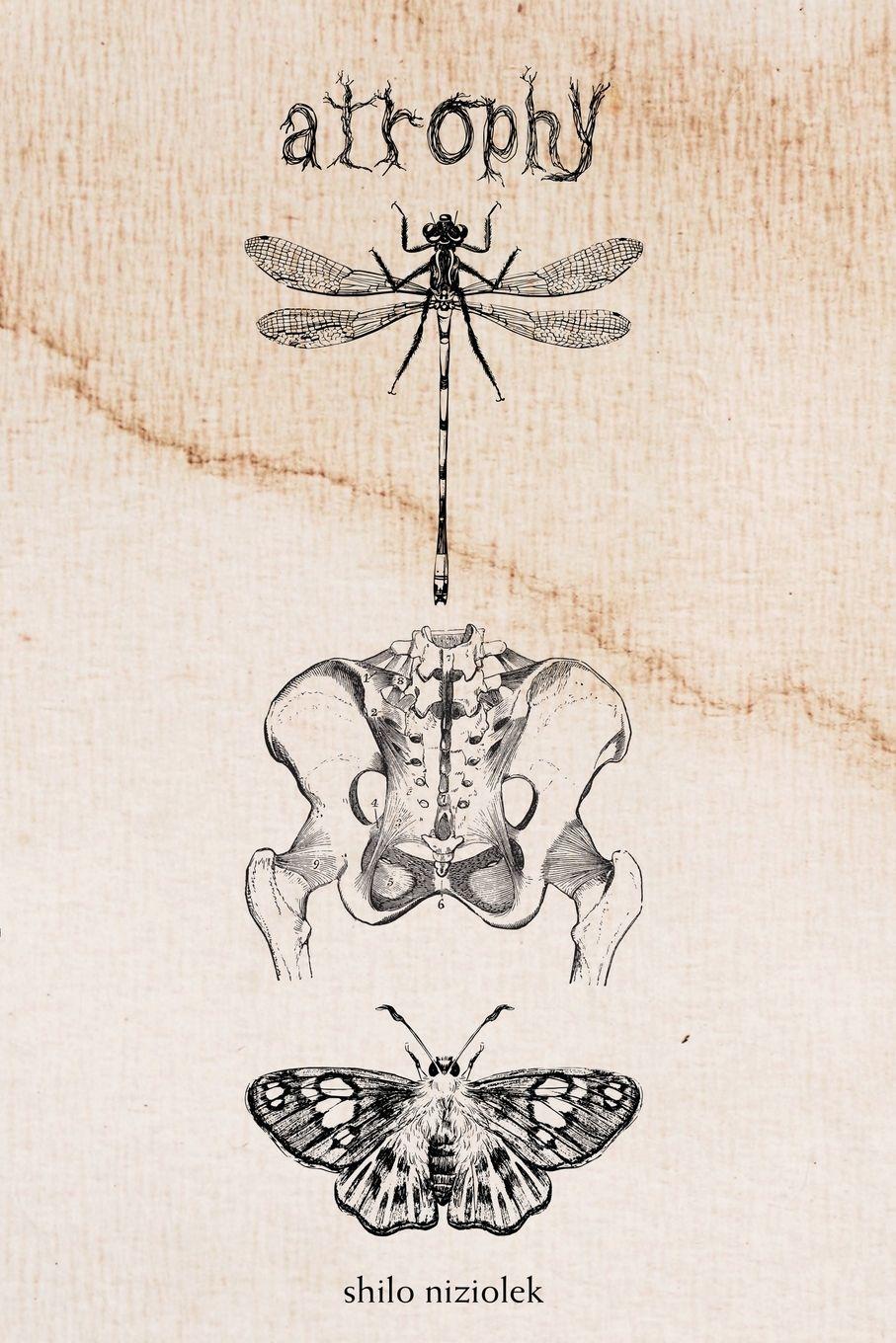 Vorderes Coverbild atrophy