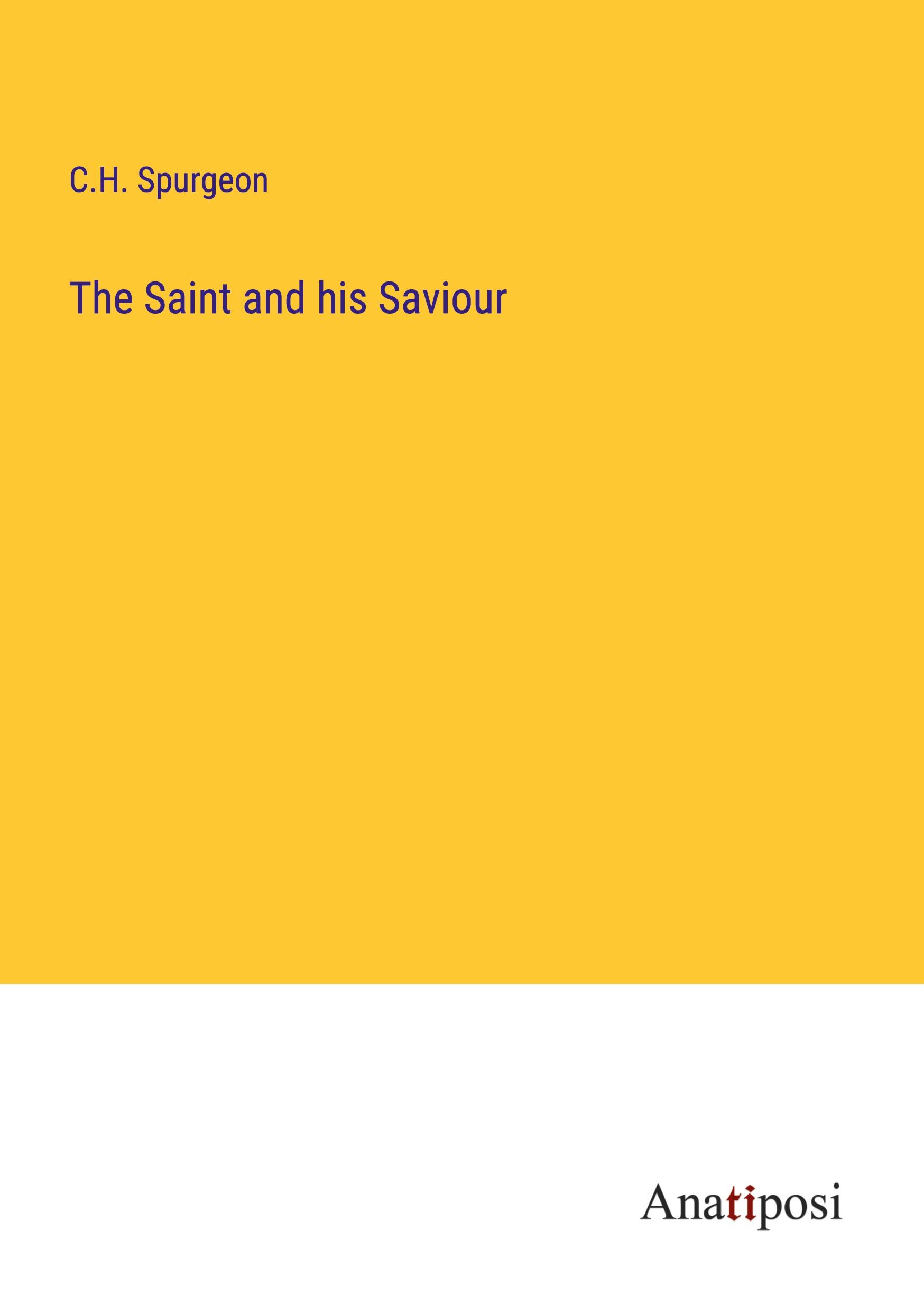 Vorderes Coverbild The Saint and his Saviour