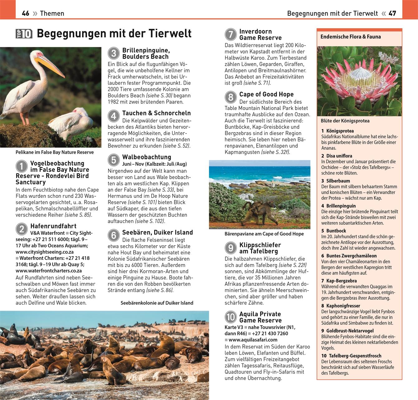 Beispielinhalt (Bild) TOP10 Reiseführer Kapstadt