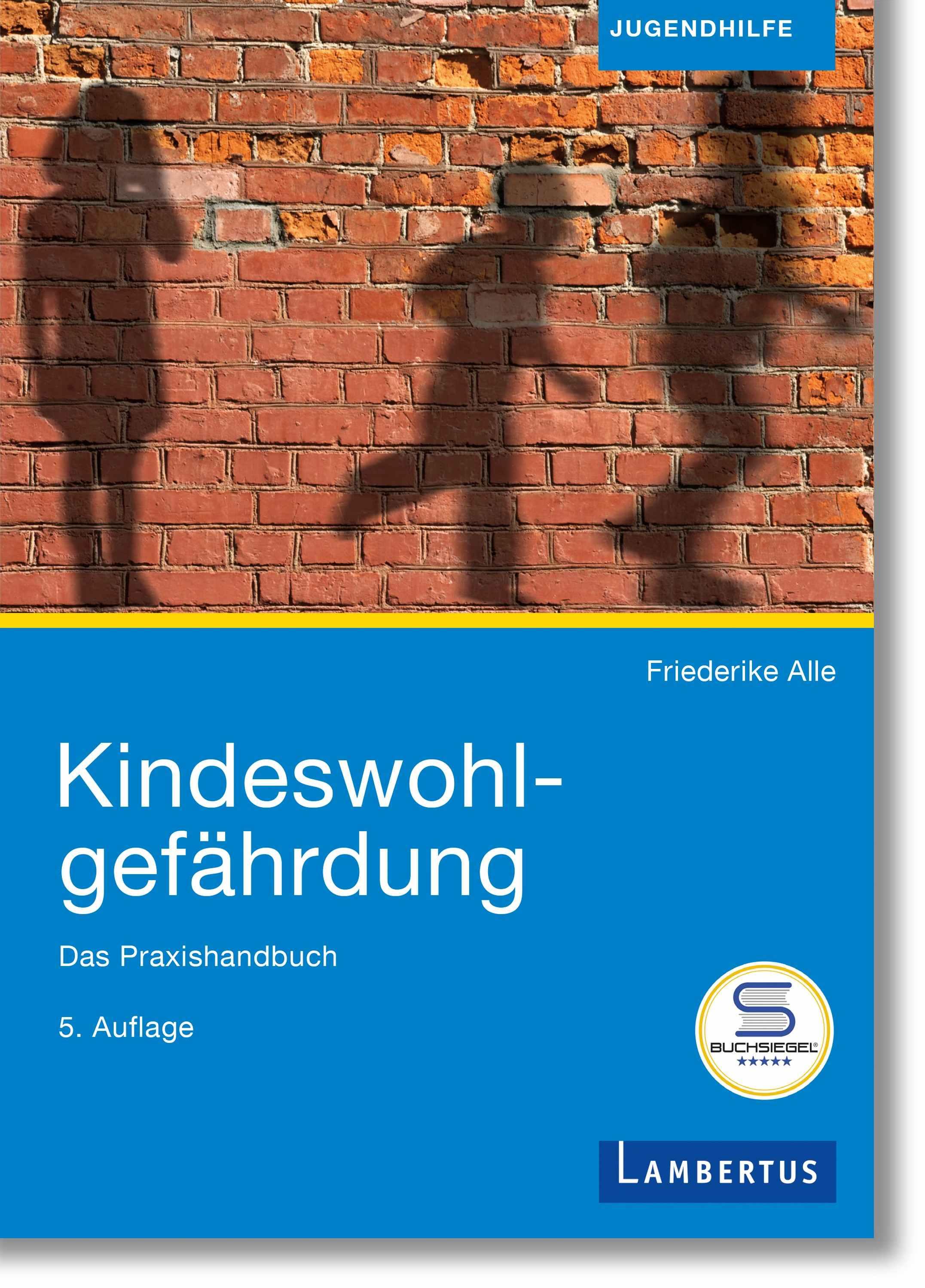Vorderes Coverbild Kindeswohlgefährdung