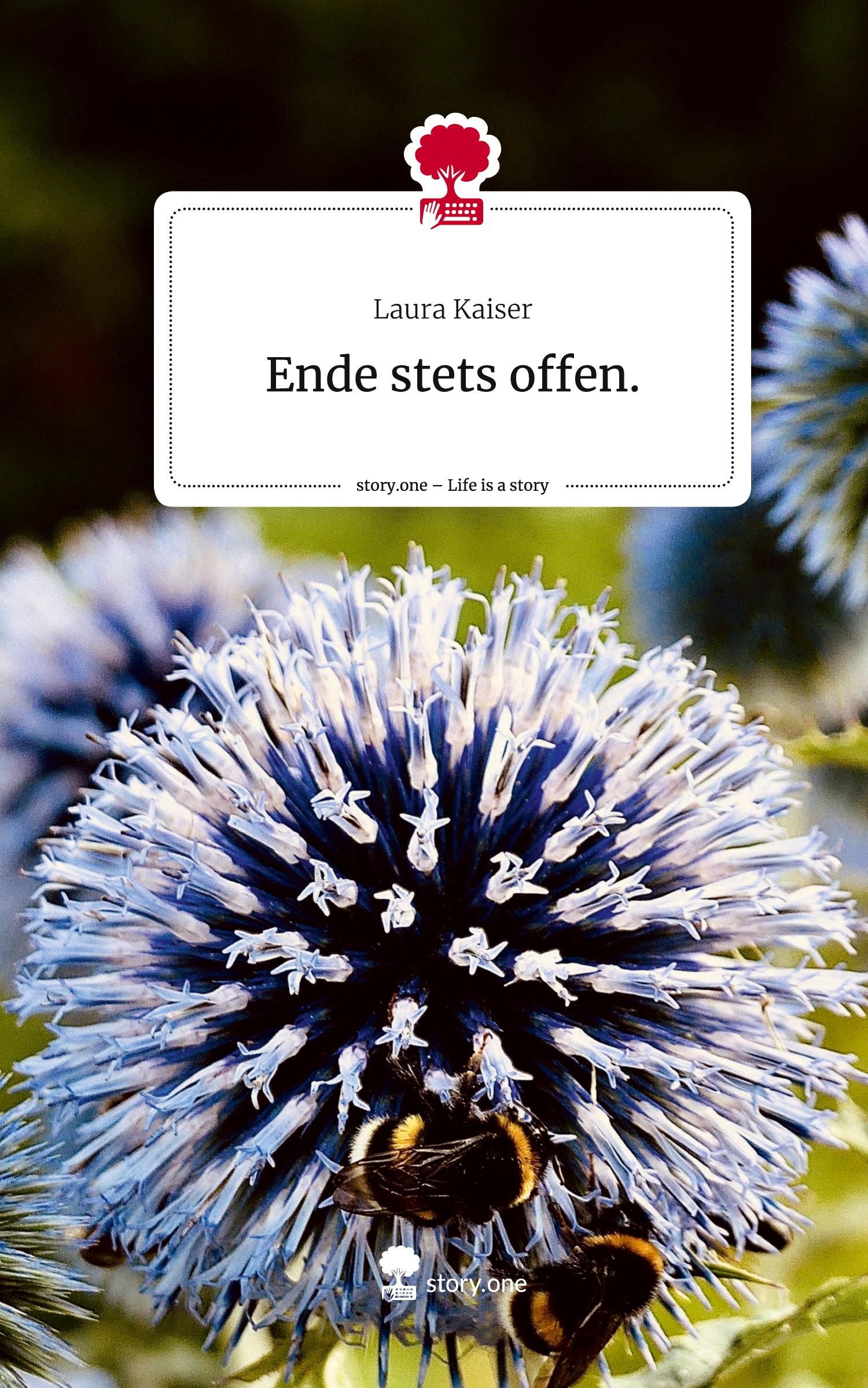Vorderes Coverbild Ende stets offen.. Life is a Story - story.one