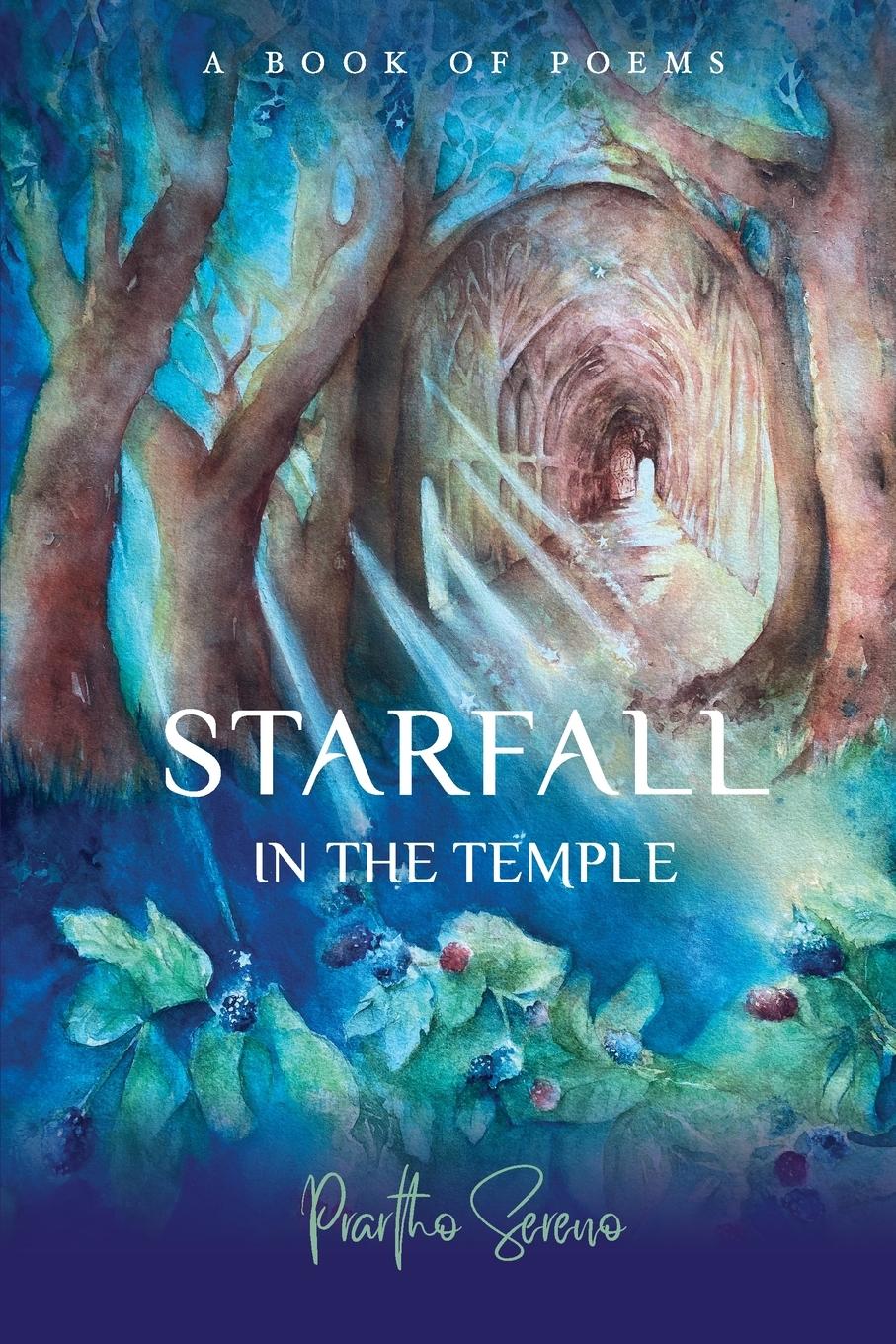 Vorderes Coverbild Starfall in the Temple