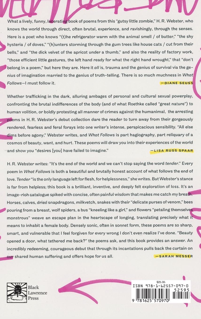 Rückseitencover What Follows