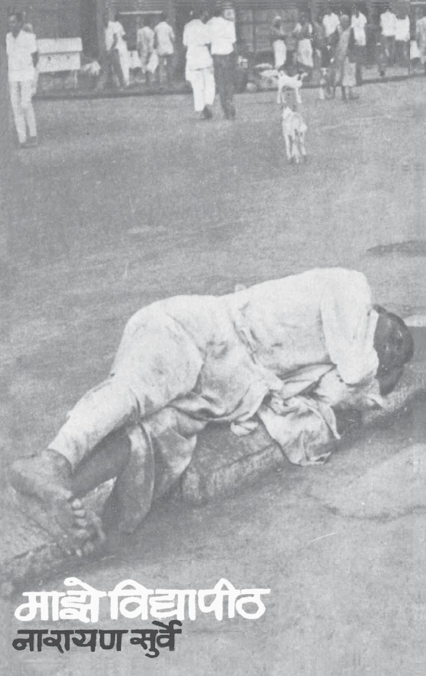 Vorderes Coverbild Maze Vidyapeeth