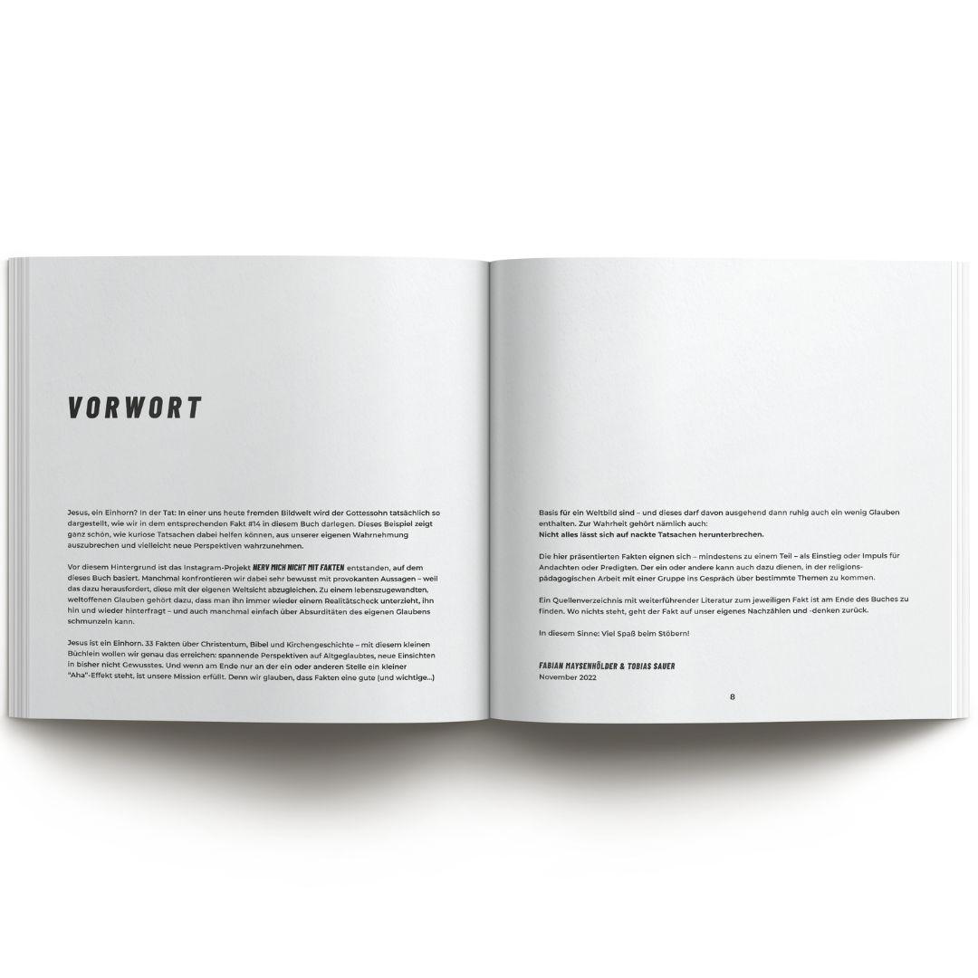 Beispielinhalt (Bild) Jesus ist ein Einhorn!