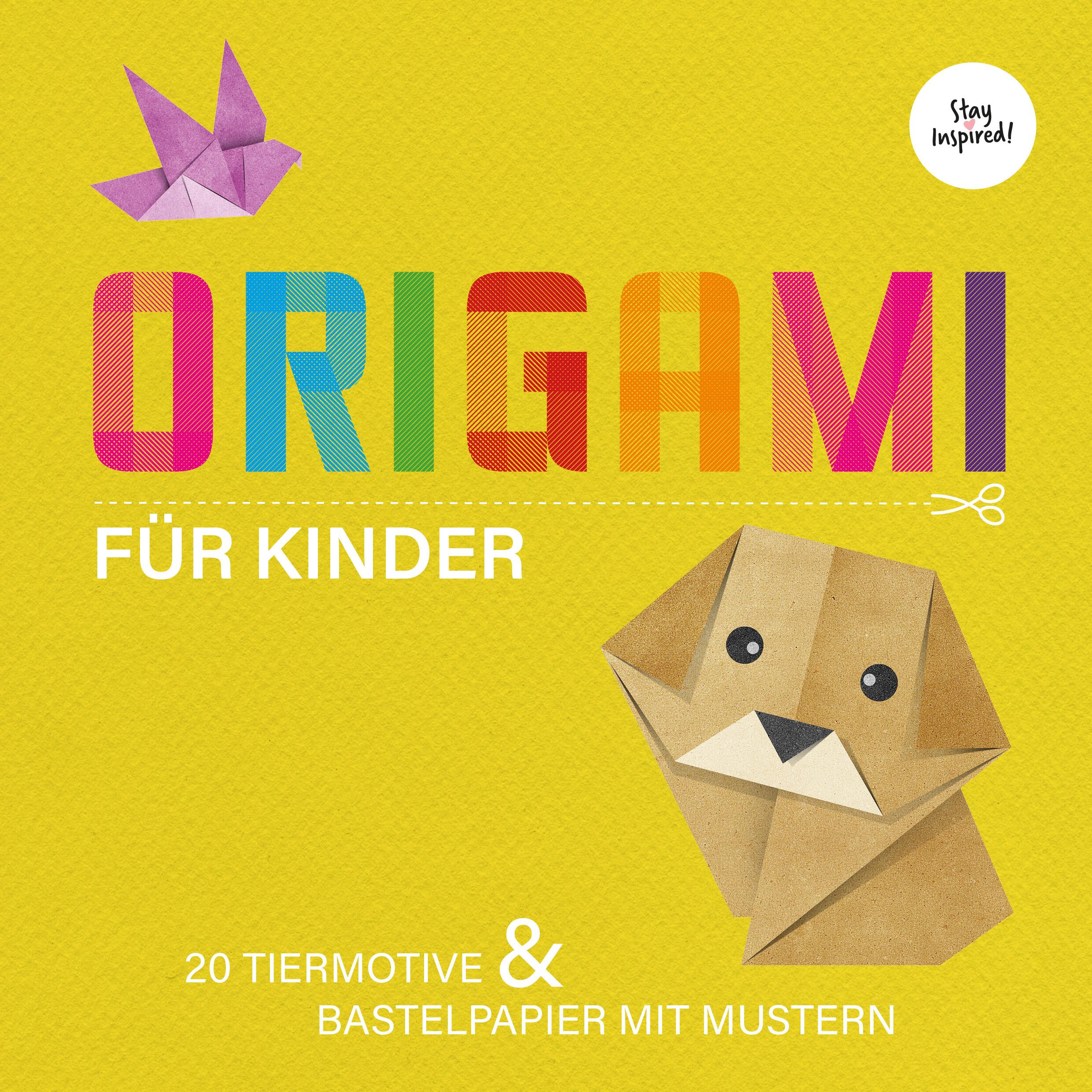 Vorderes Coverbild Origami für Kinder