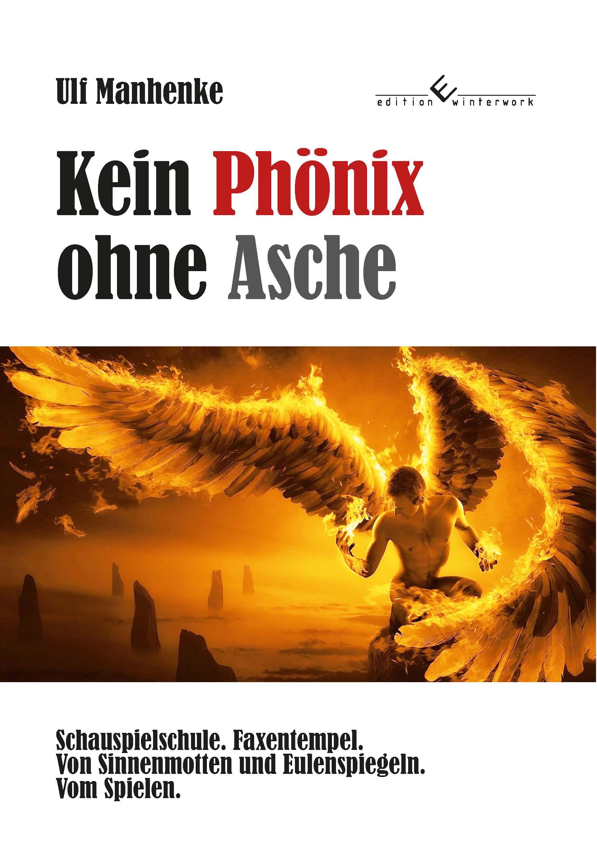 Vorderes Coverbild Kein Phönix ohne Asche
