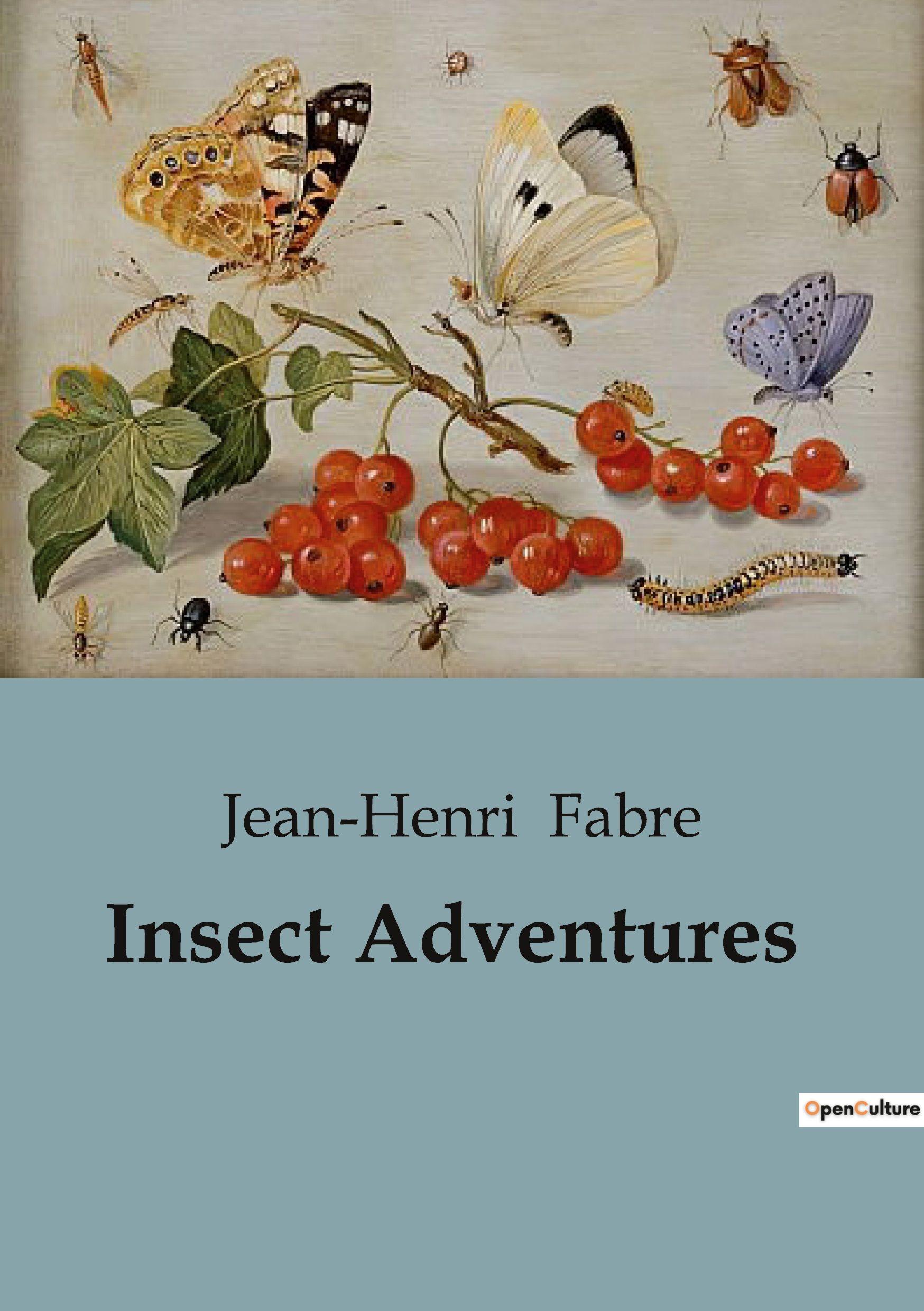 Vorderes Coverbild Insect Adventures