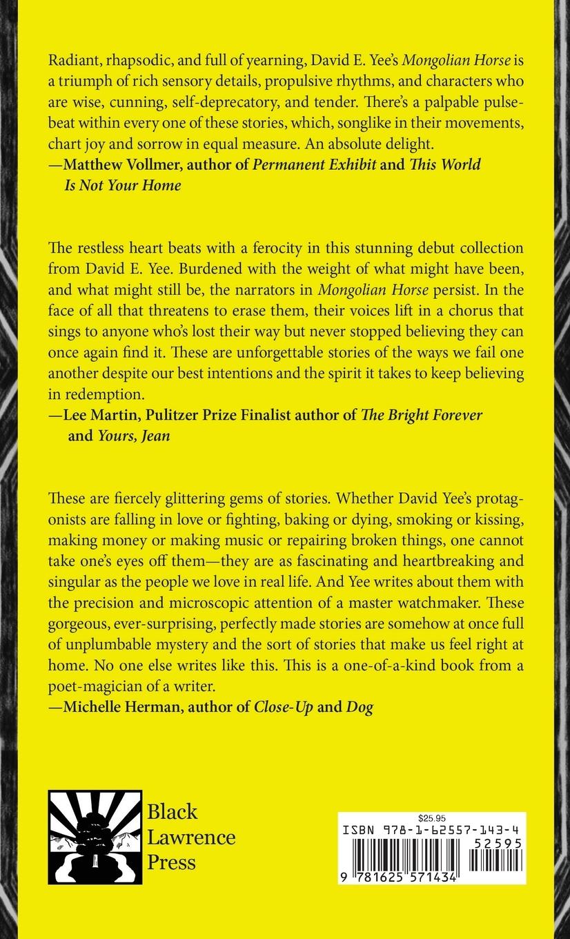 Rückseitencover Mongolian Horse