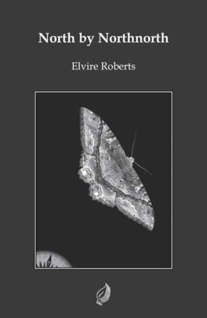 Vorderes Coverbild North by Northnorth